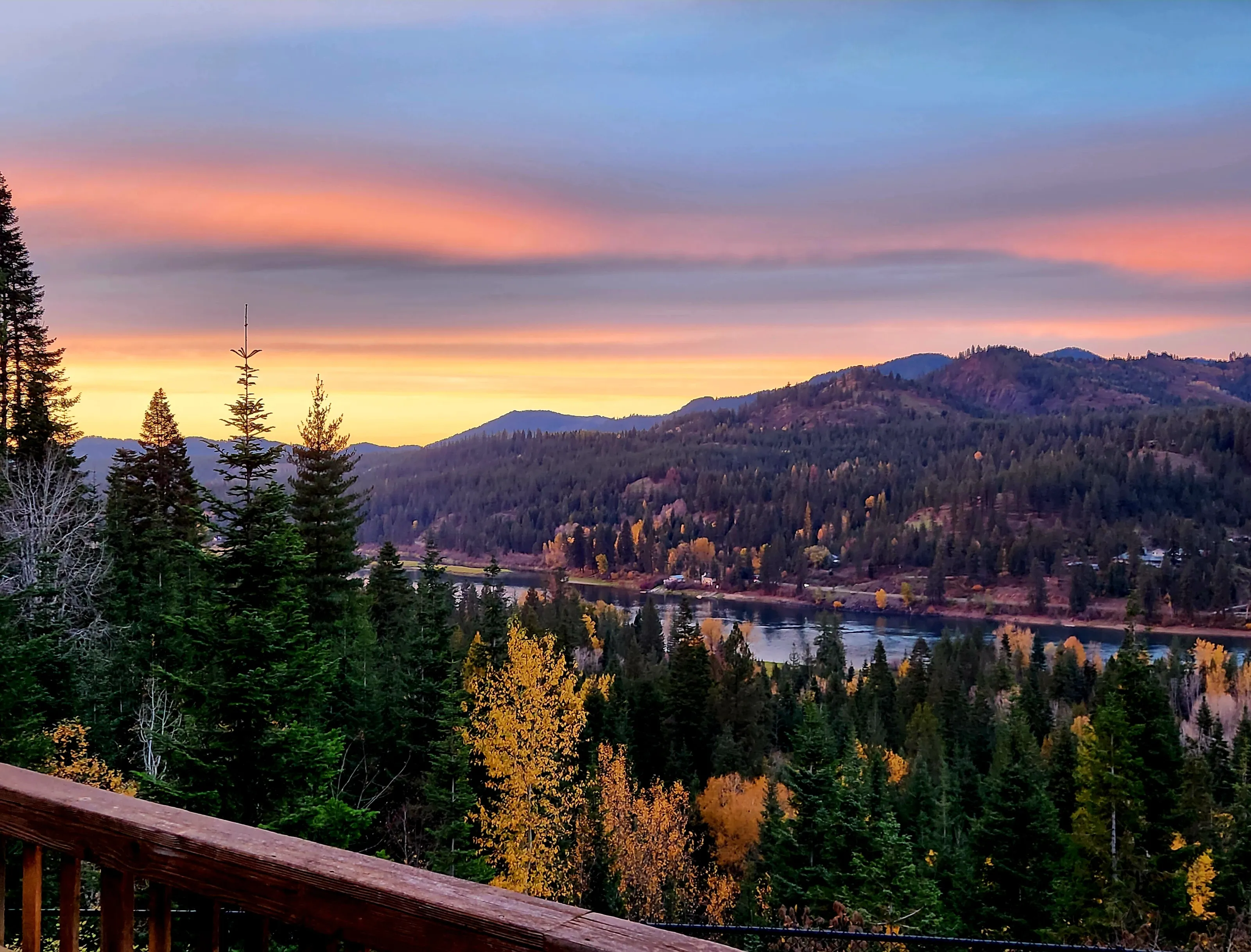 My backyard Pacific North West