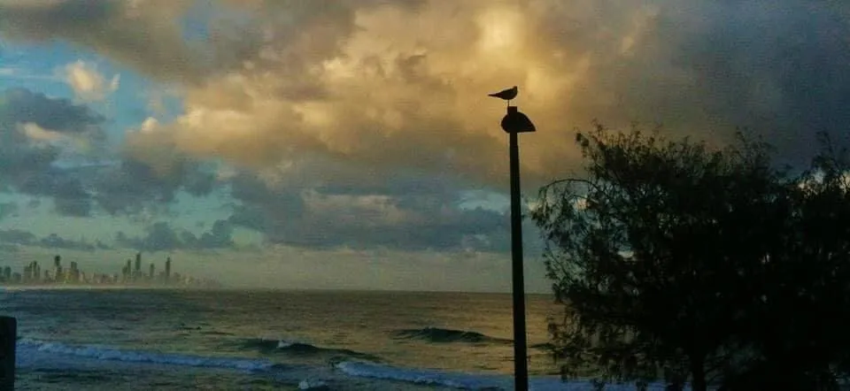 Waiting for the sun.