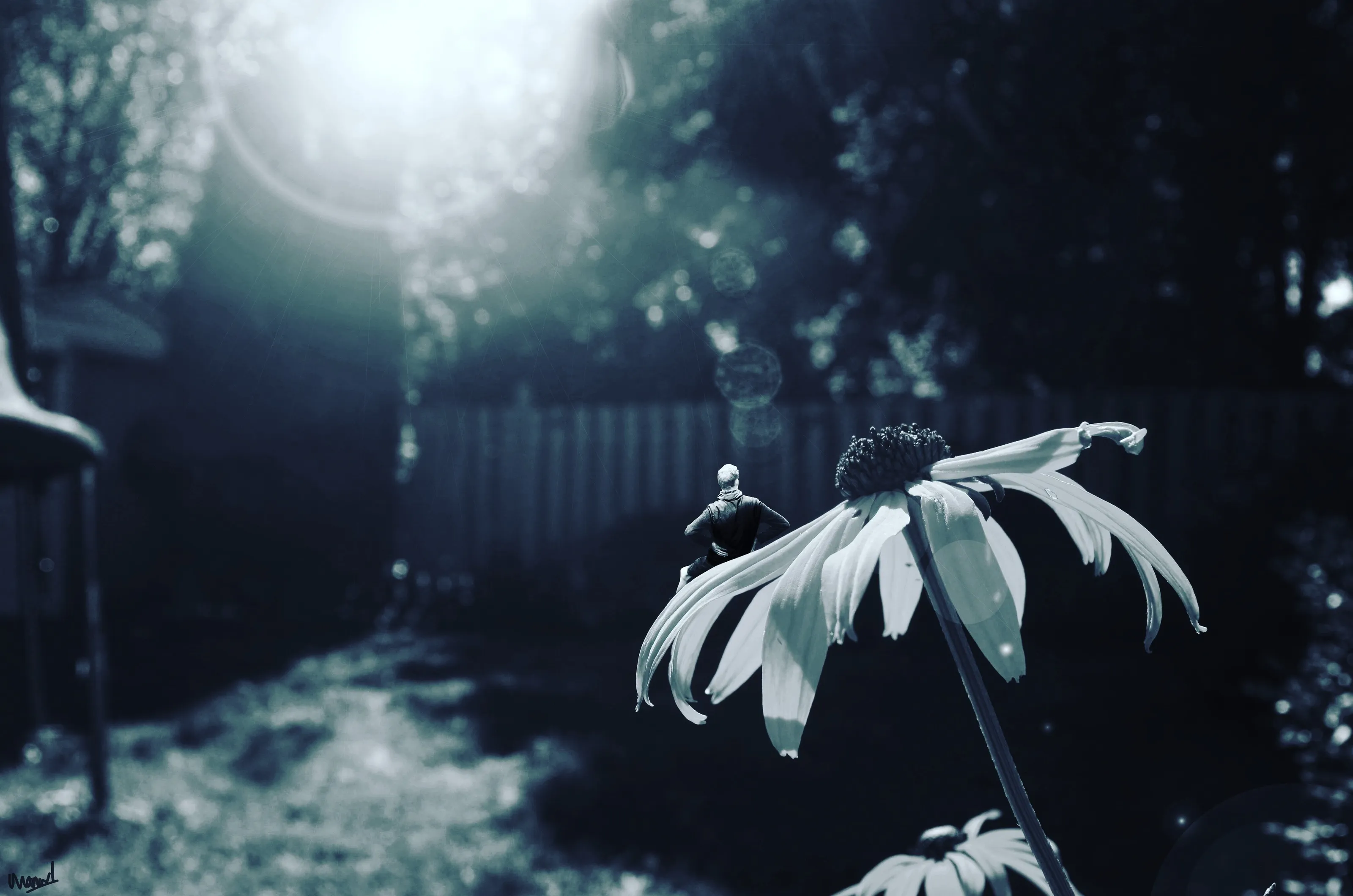What a flowery view!