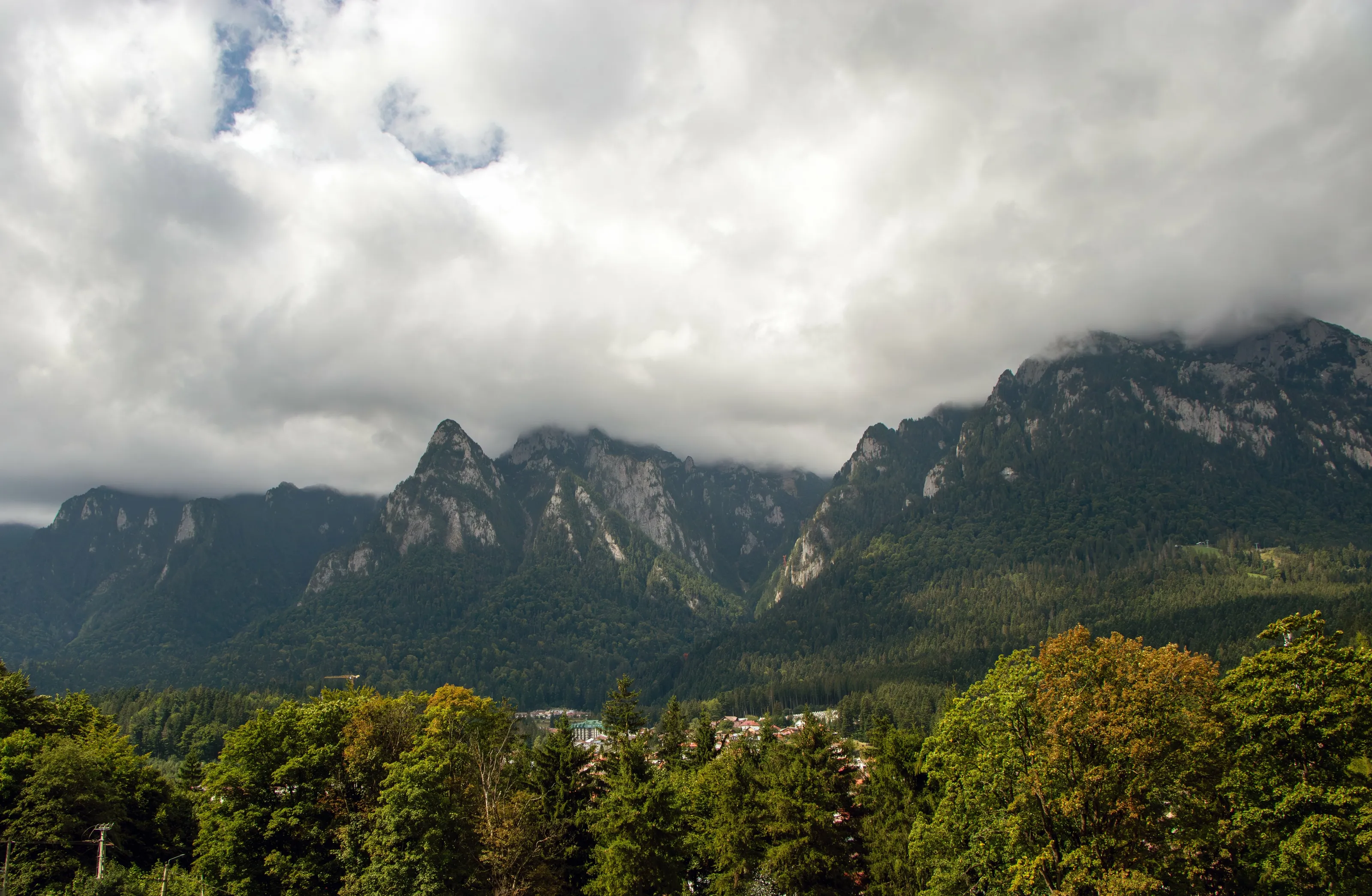 TO THE MOUNTAINS