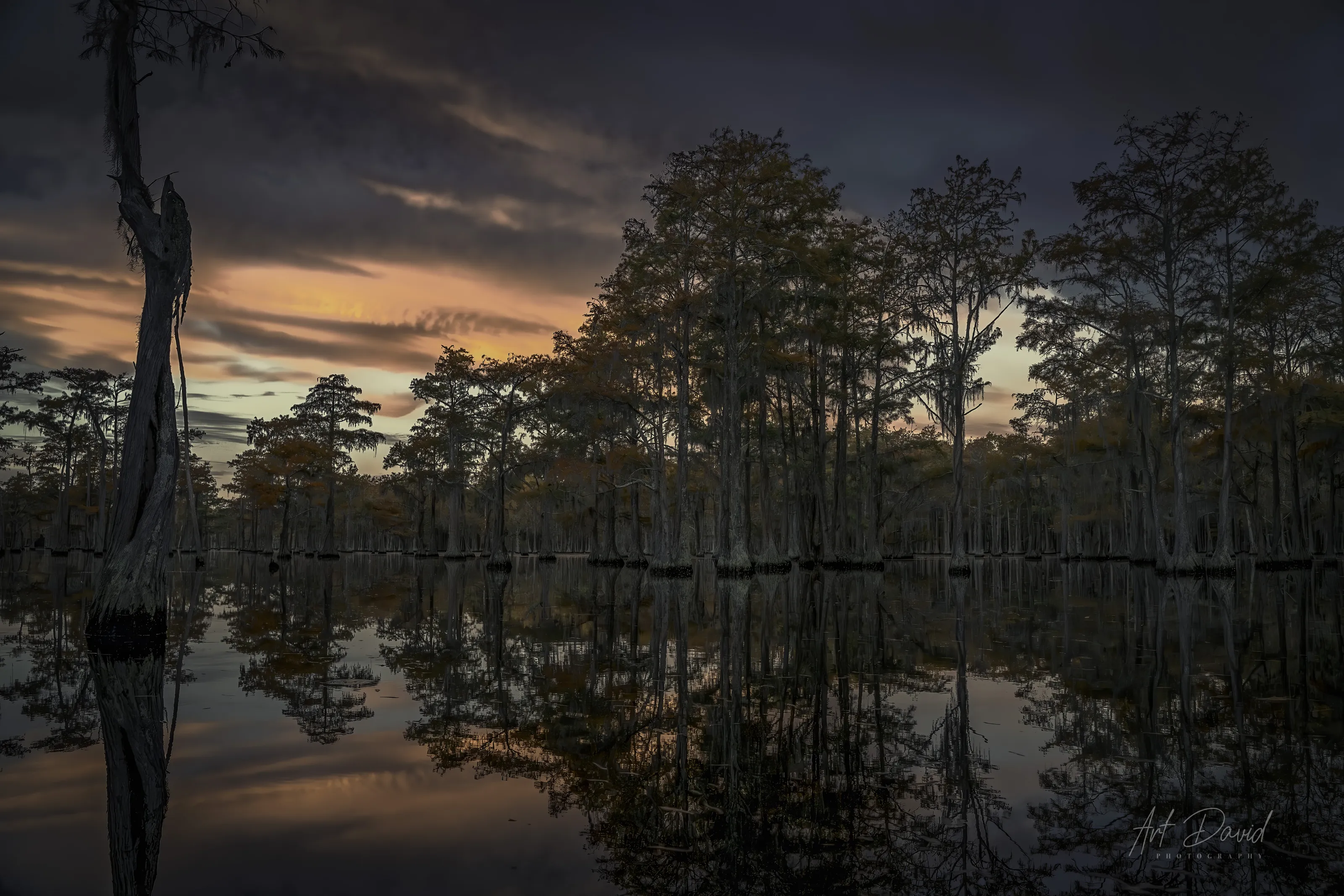 Delicate Dawn