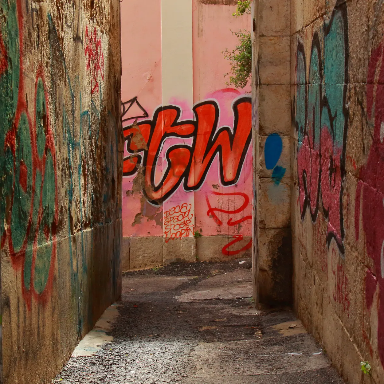 Entry 18300363