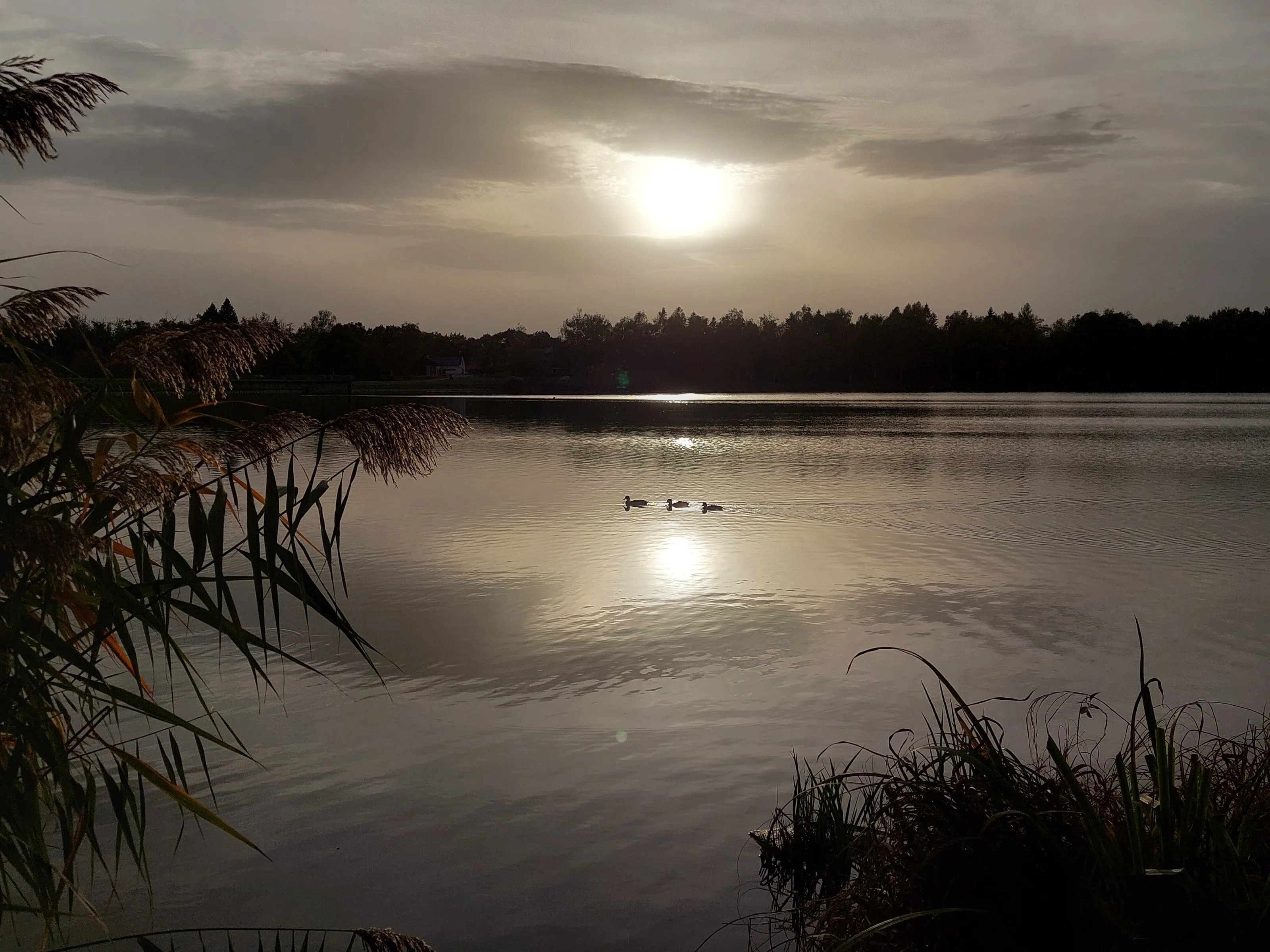 autumn sunset