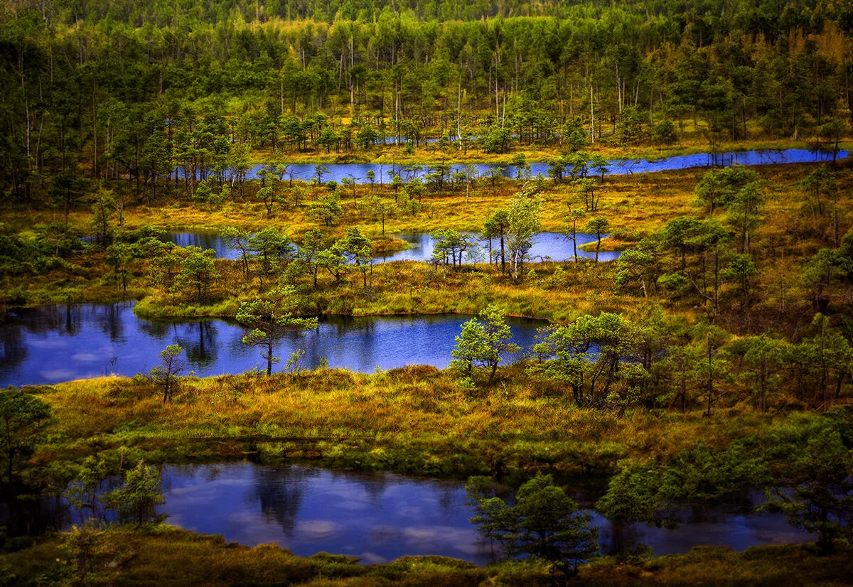Landscape1