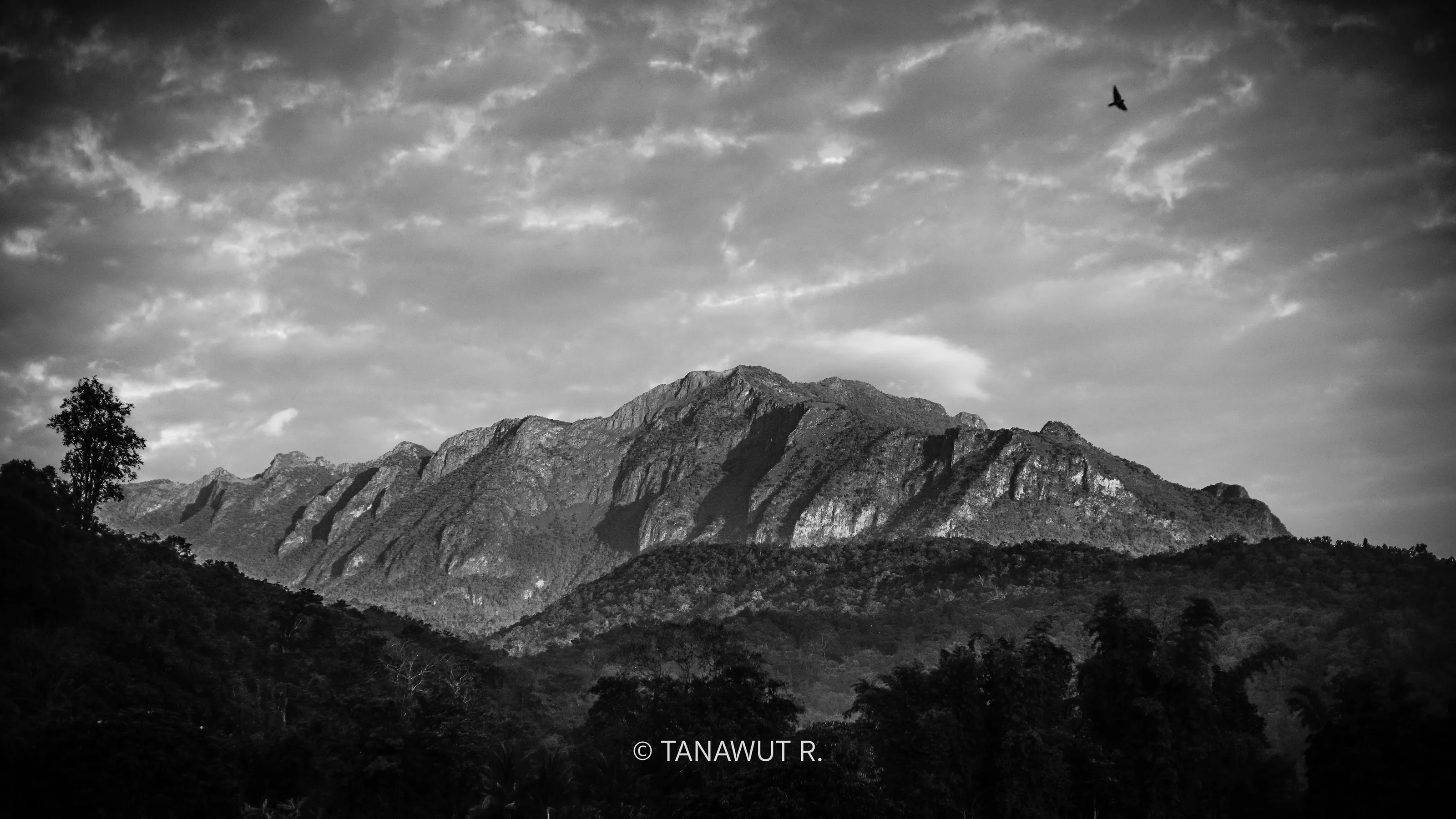Doi Chiang Dao, Doi Luang Chiang Dao