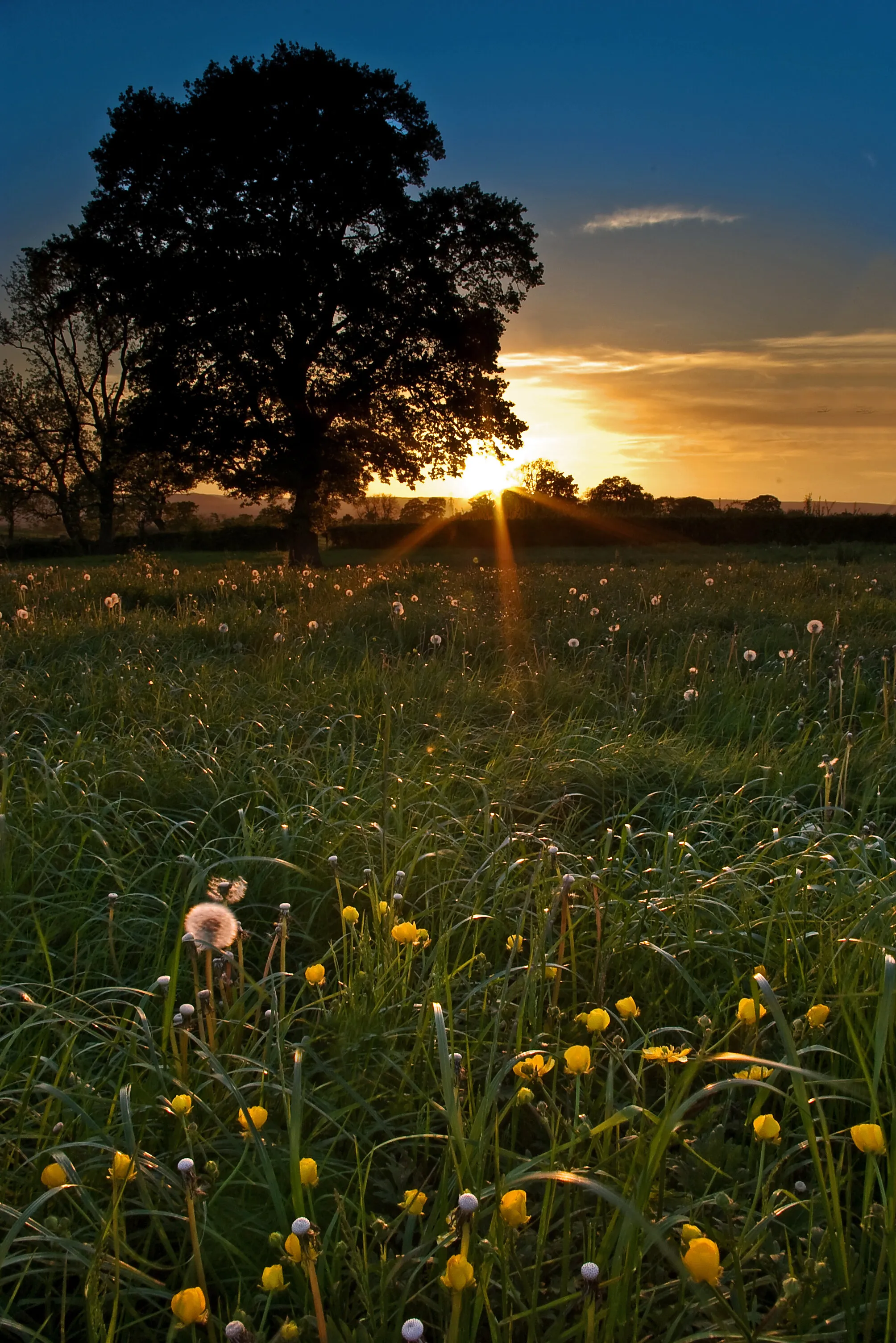 first light