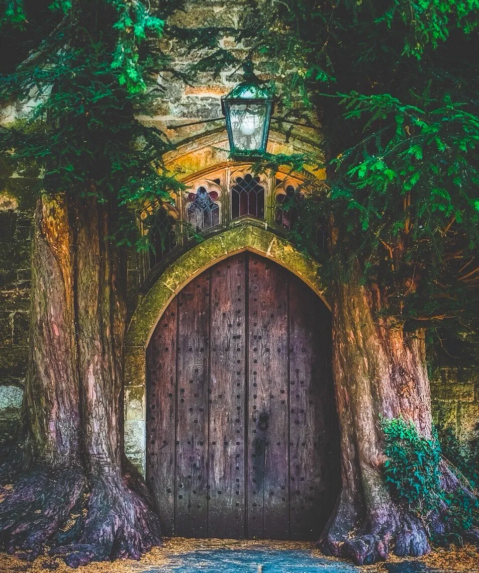 Entry 23545666