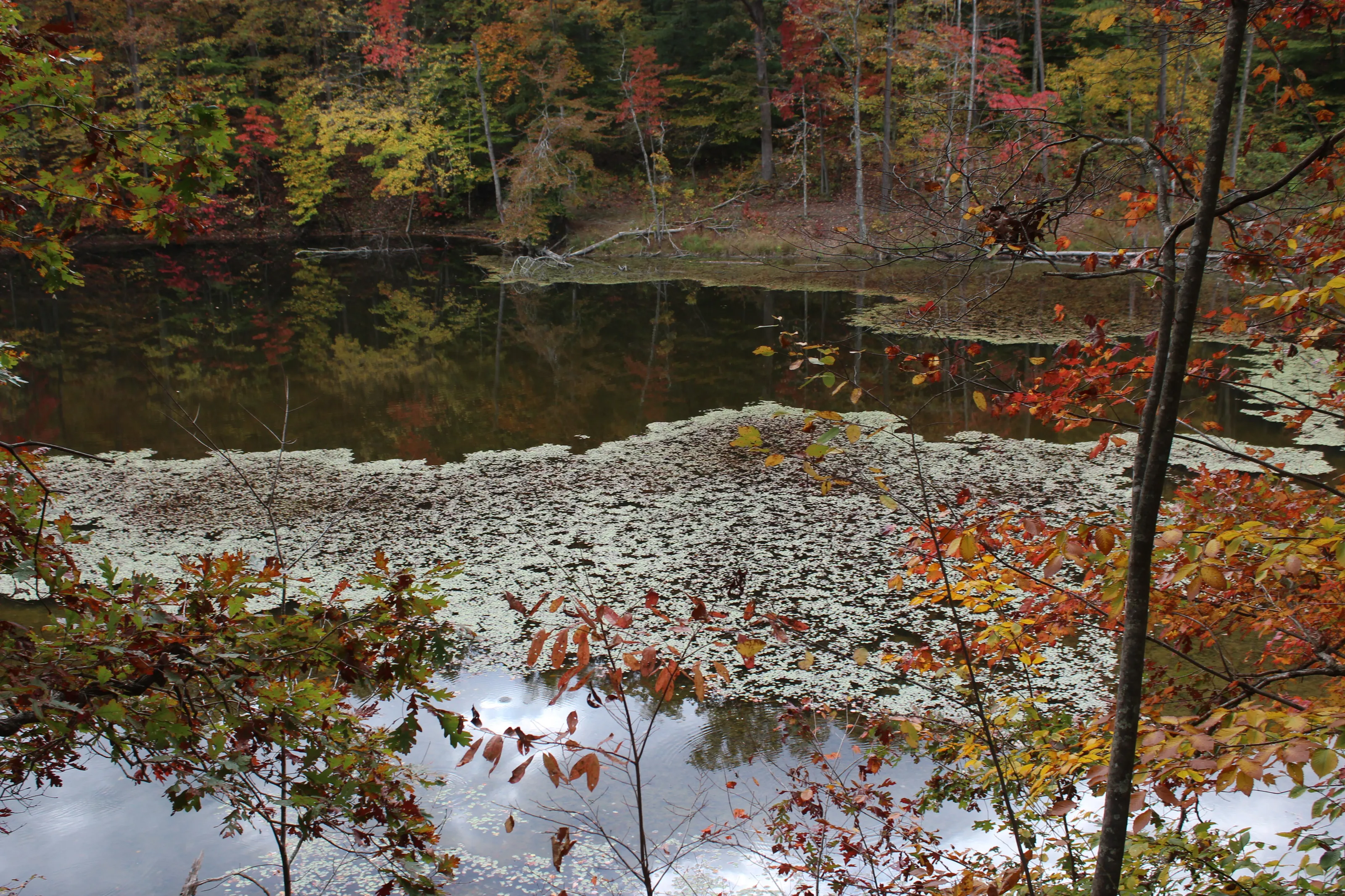 Eagle Lake in the Fall