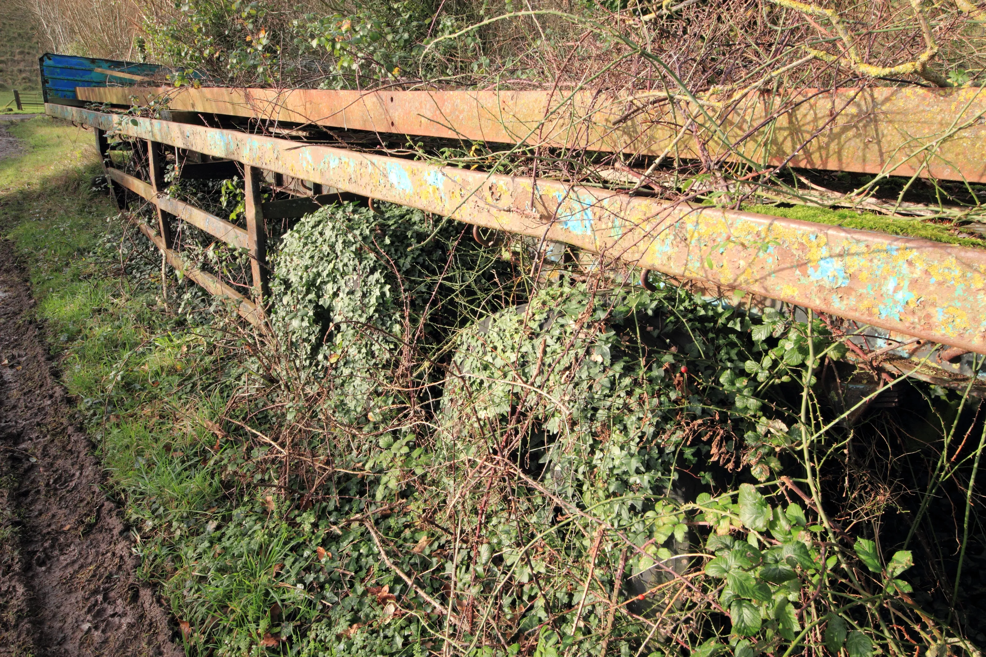 Overgrown