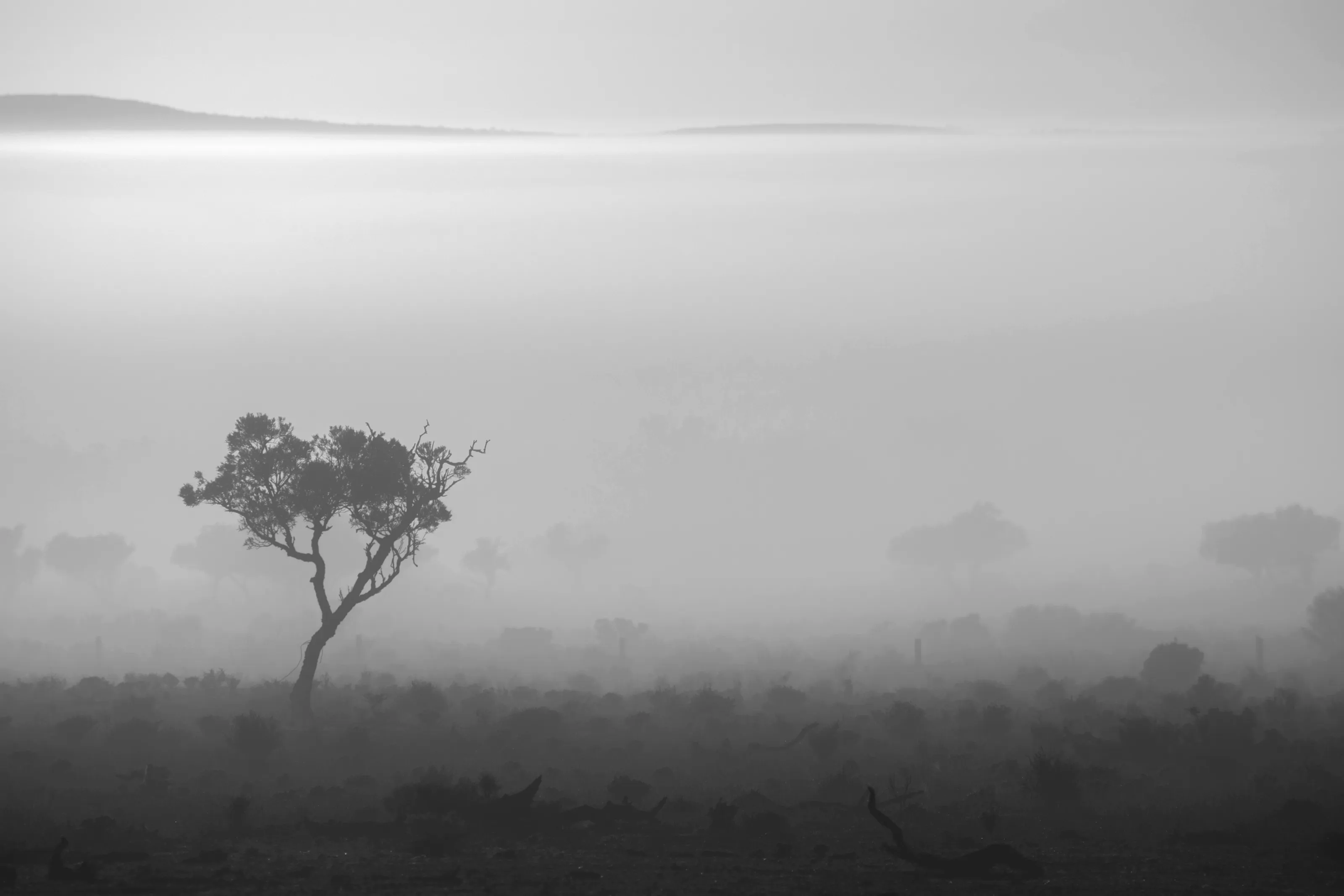winter morning