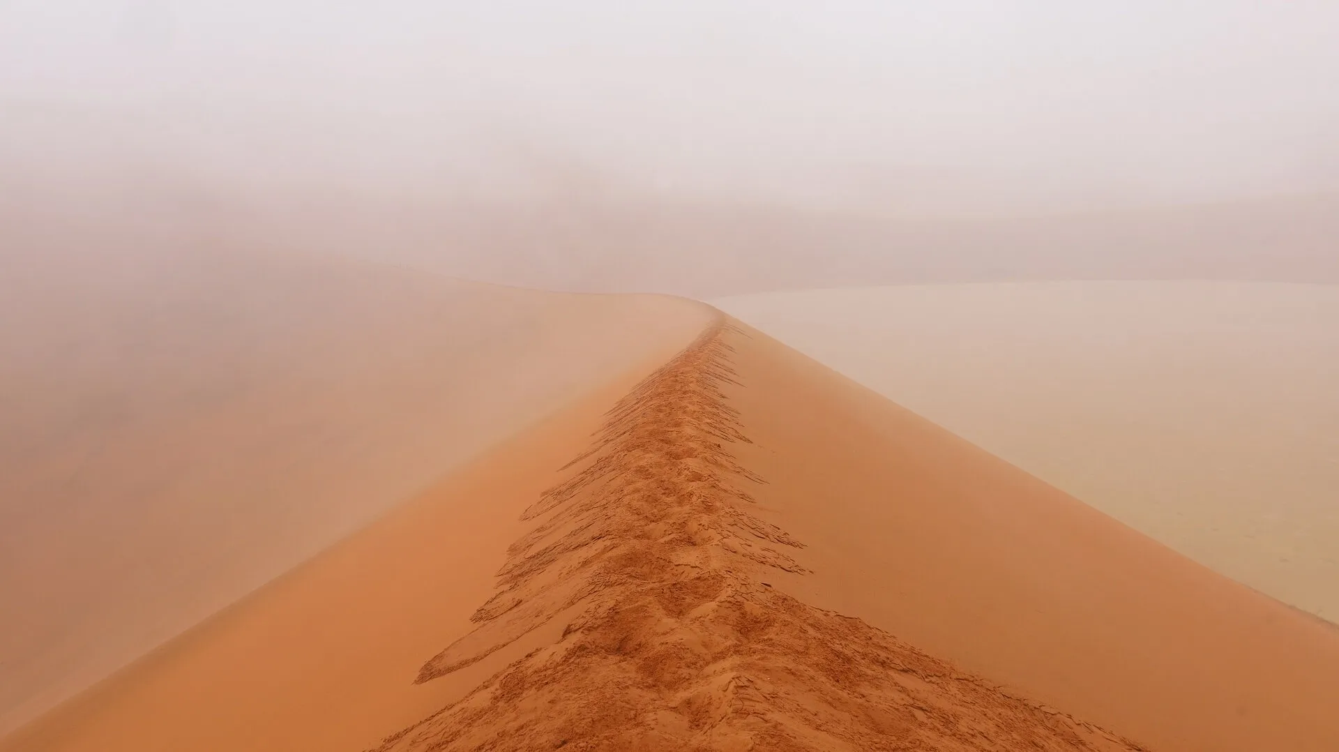 Foggy dune
