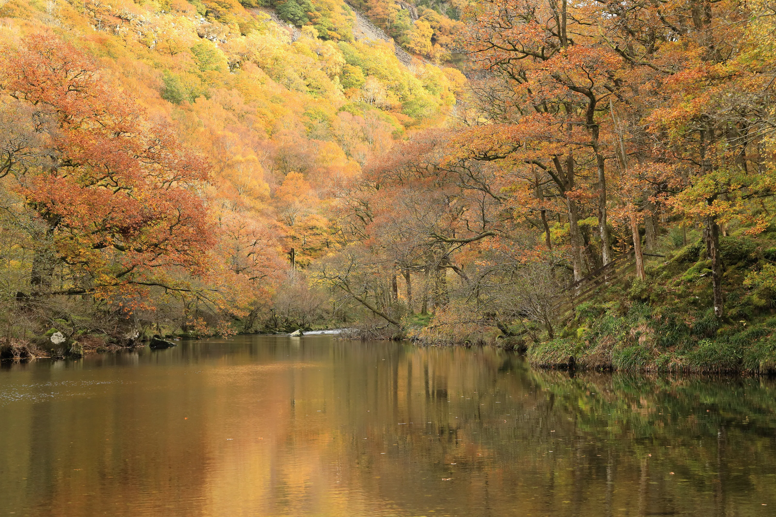 Border Dub in Autumn