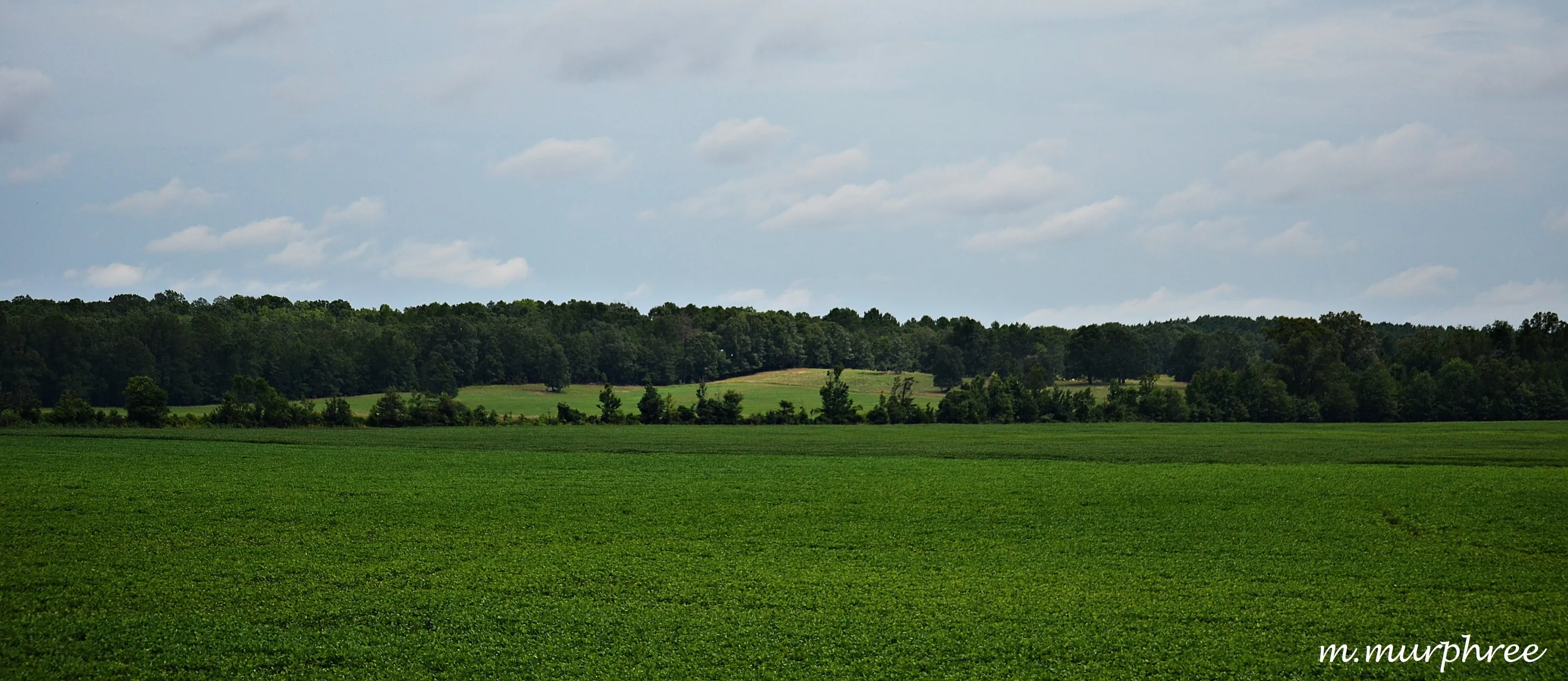 Country scene