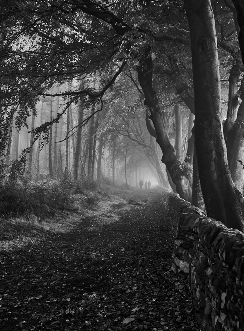 Early Morning Walk