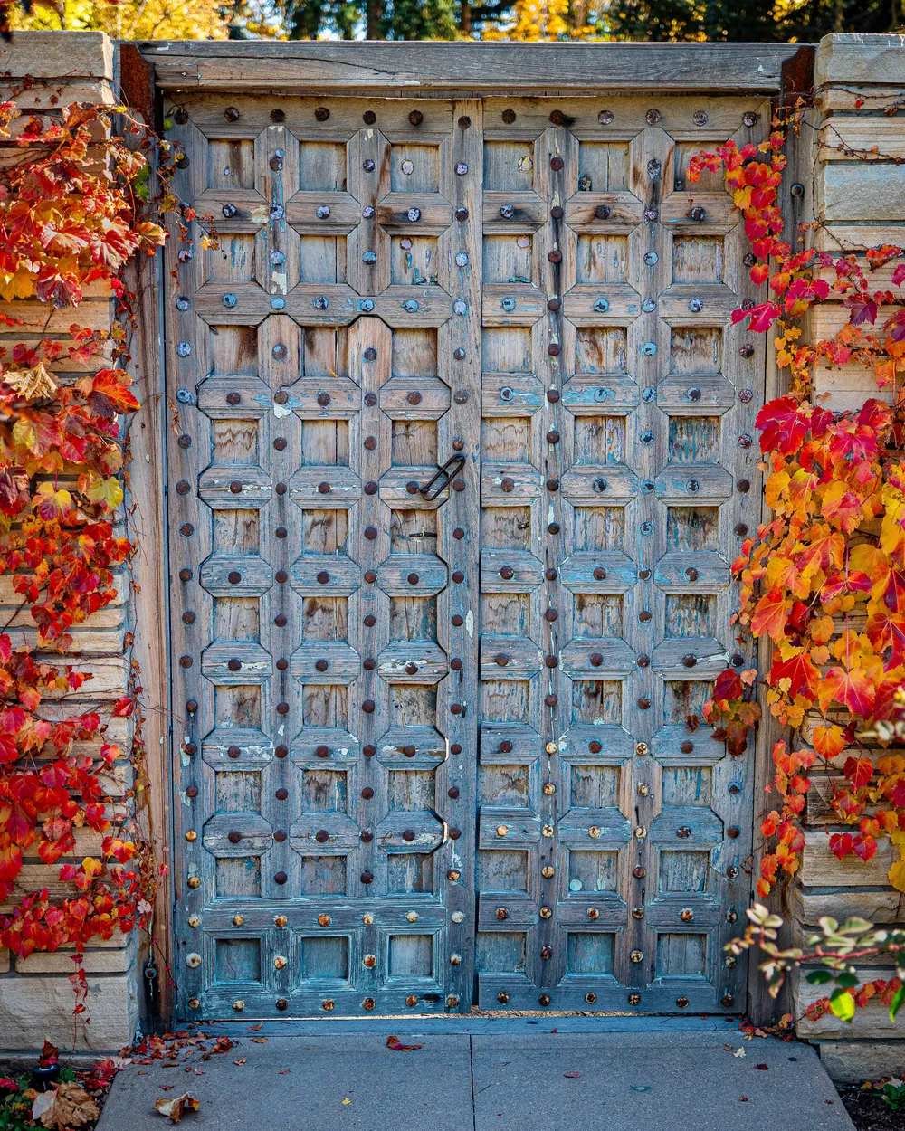 Entry 22085101