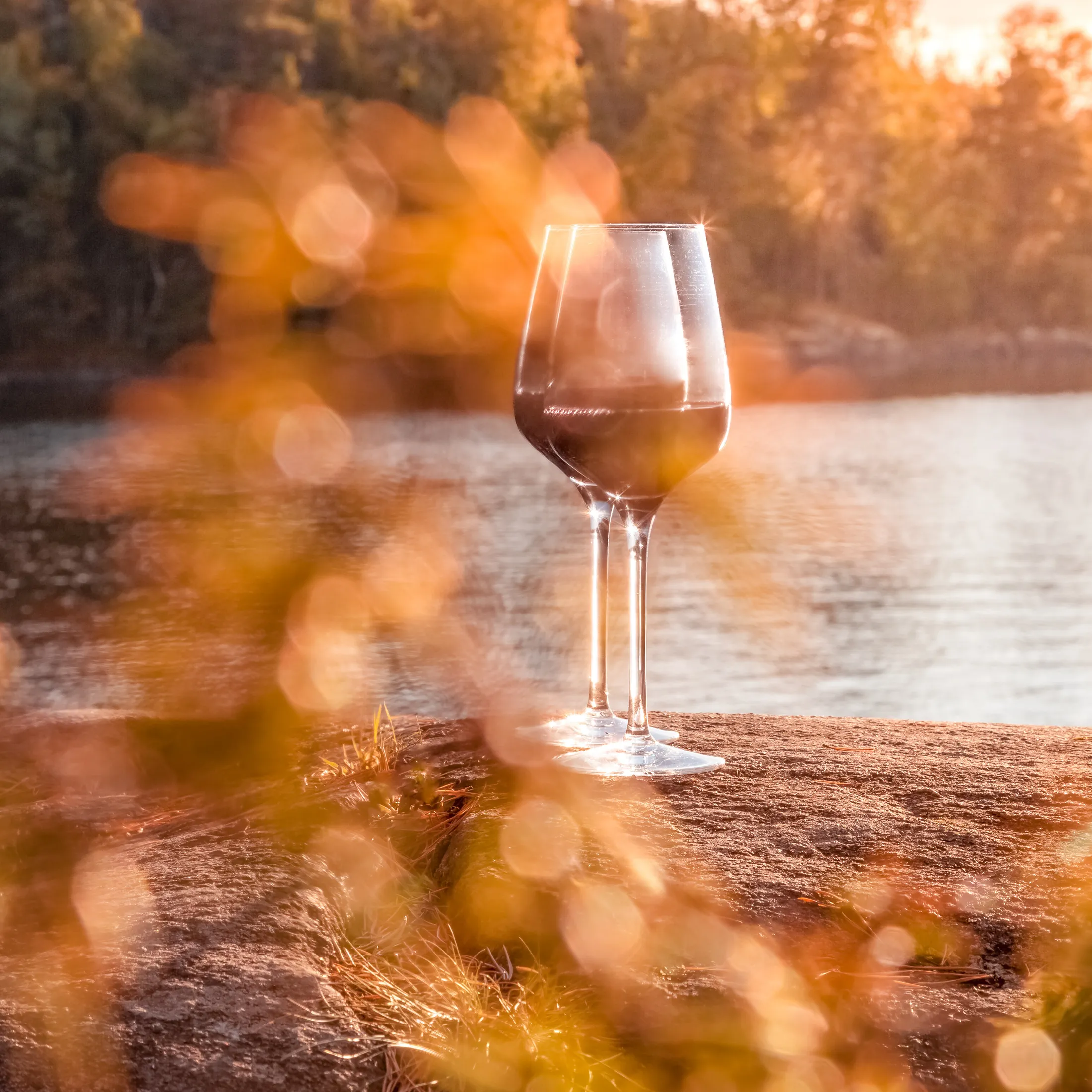Autumn Wine