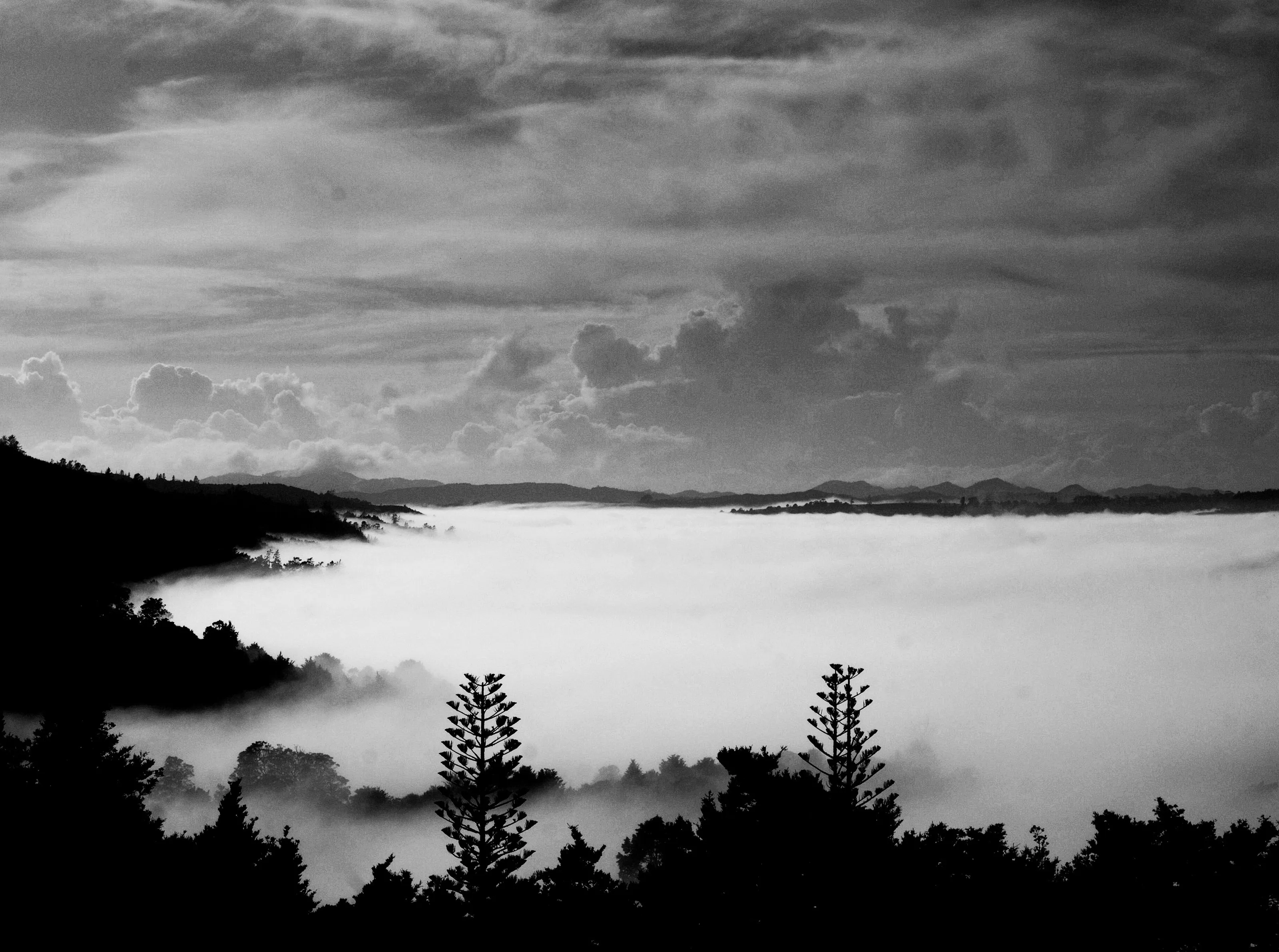 Moerewa Mists
