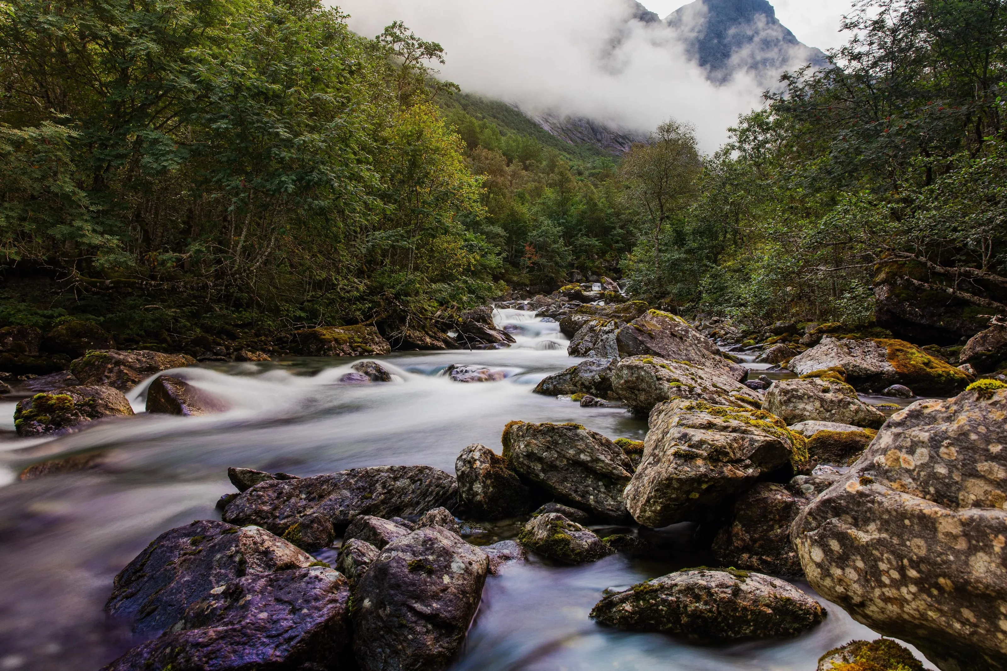 Fluid Tranquility