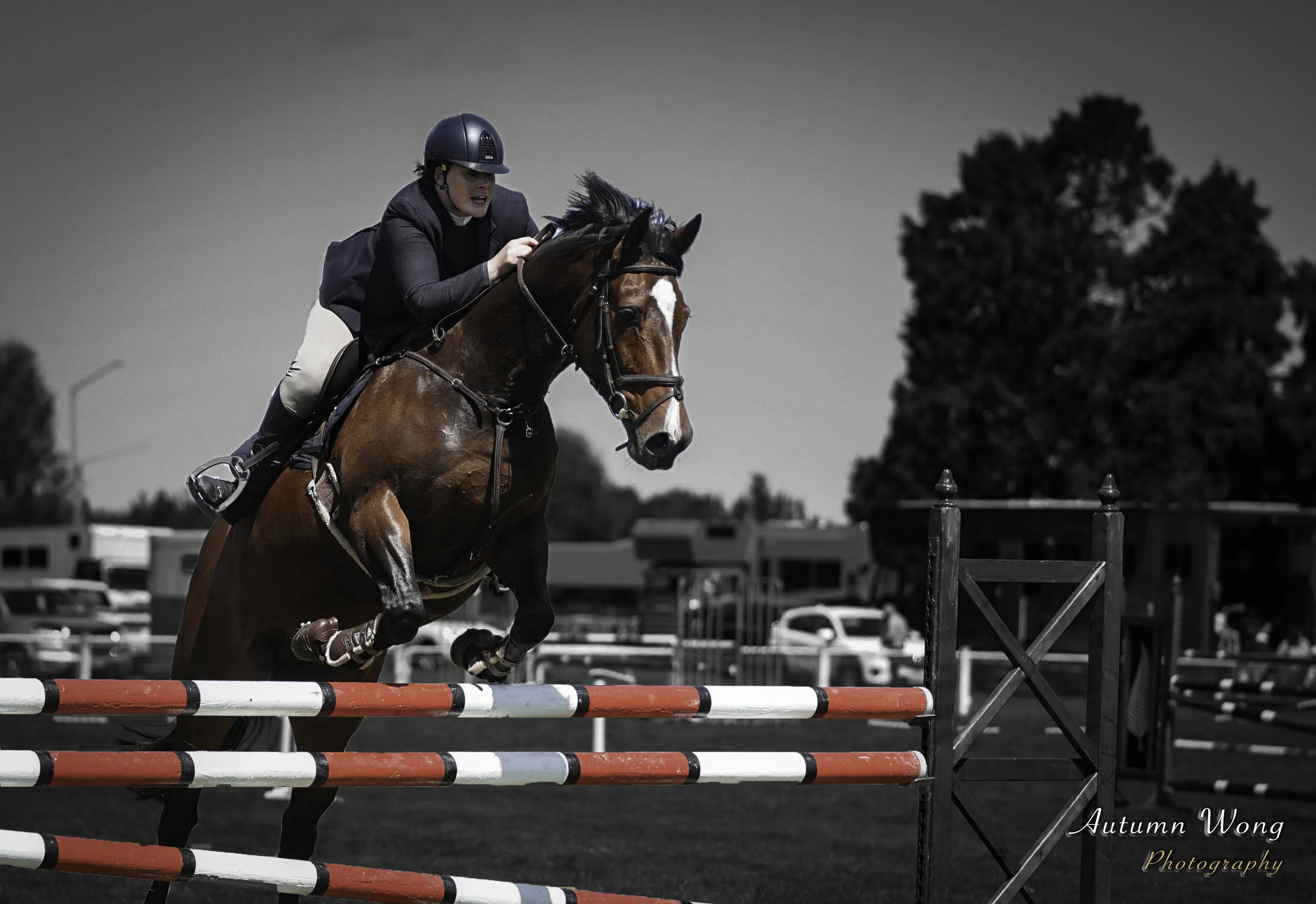 Horse racing in A&P Show 2023