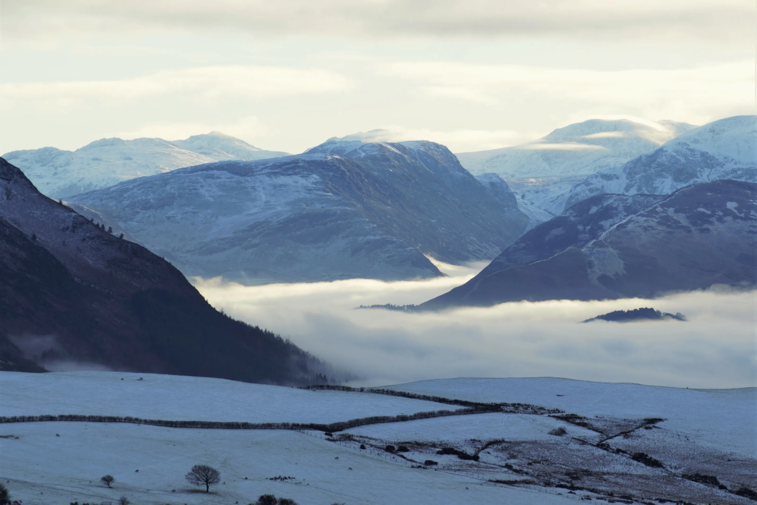 Winter Inversion