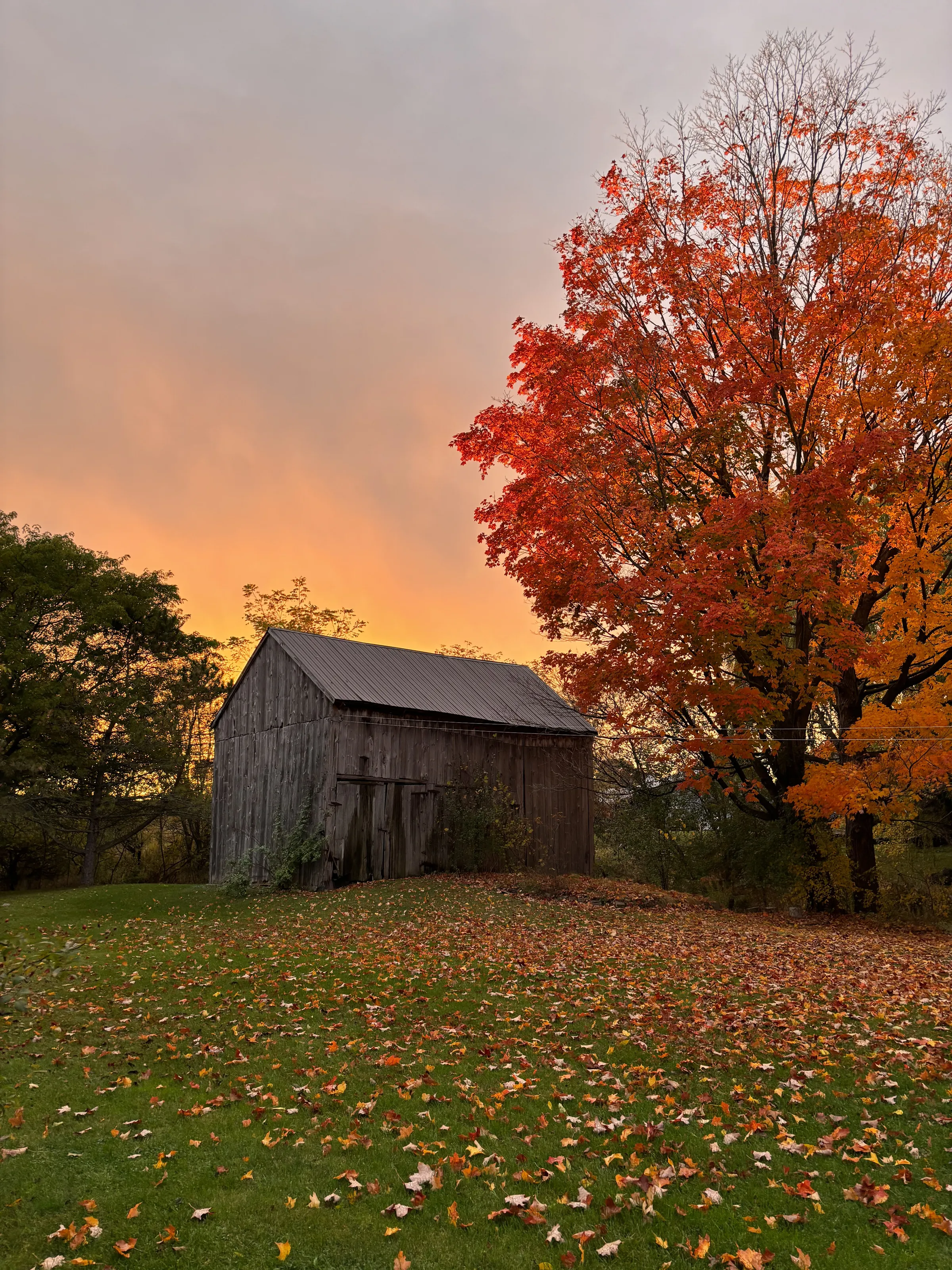 Barn in the Autumn, at Dusk
