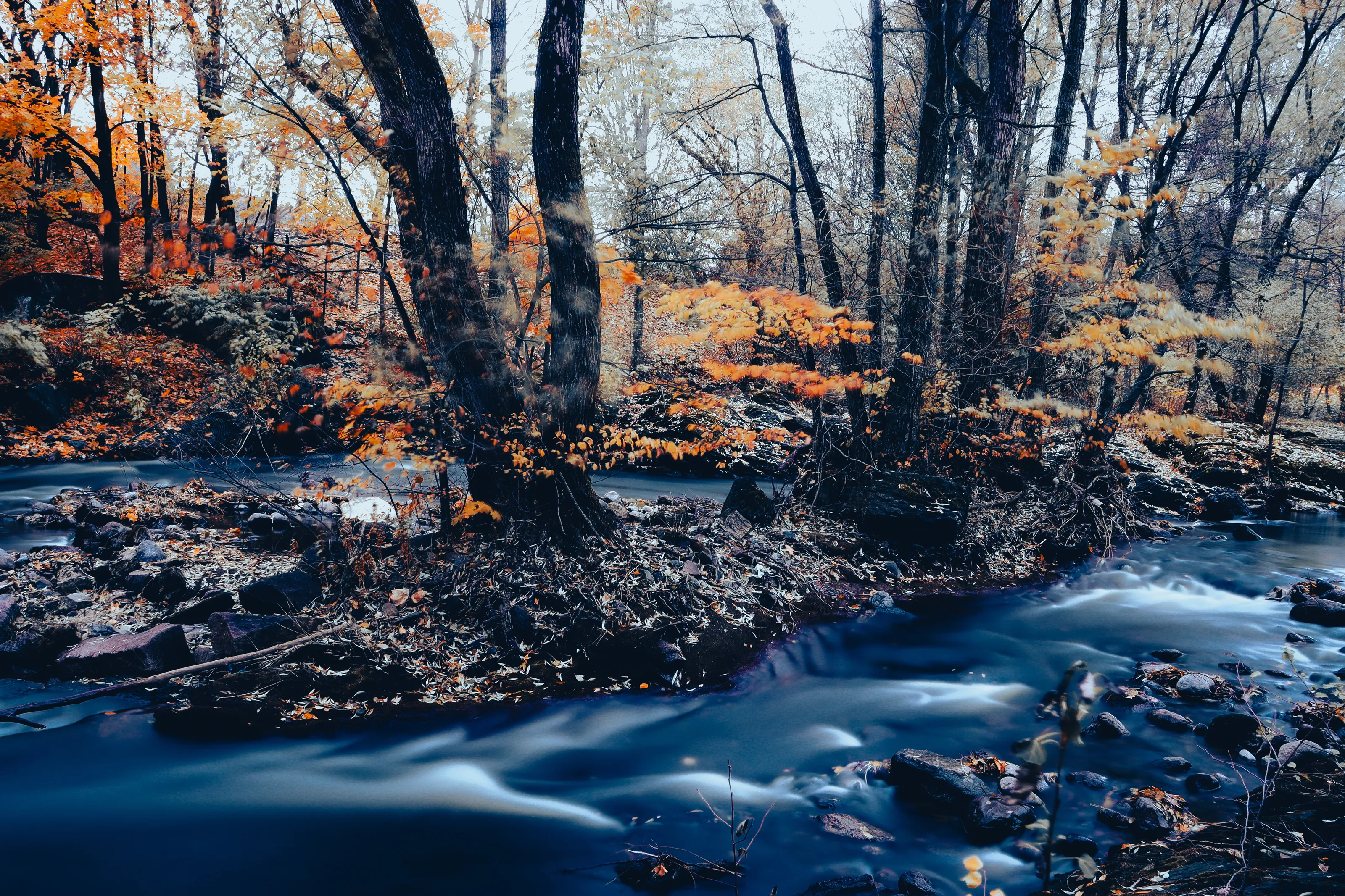 Grungy autumn river