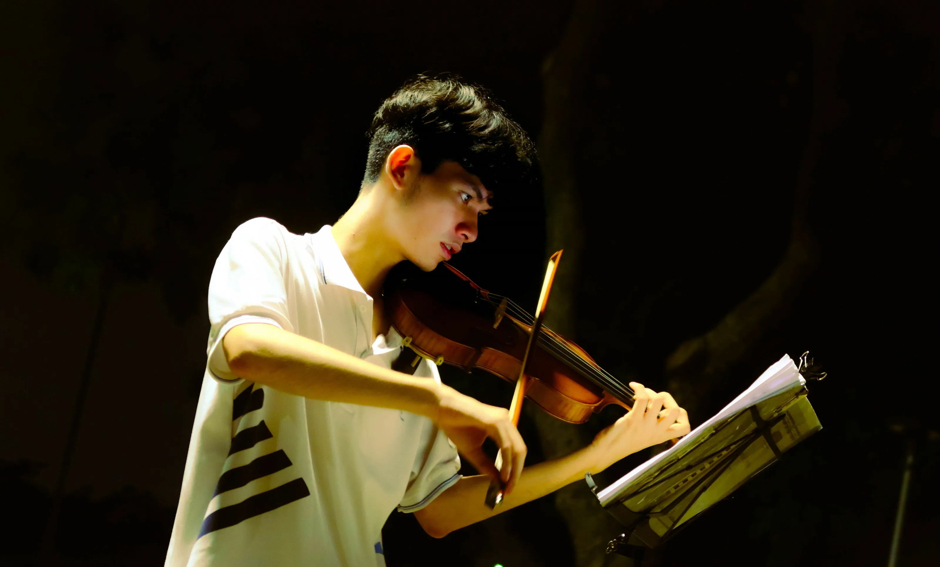 Violinist