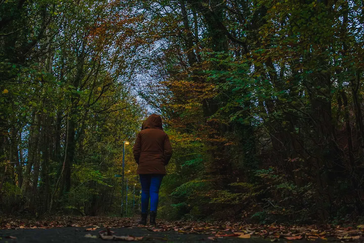 Autumn walk