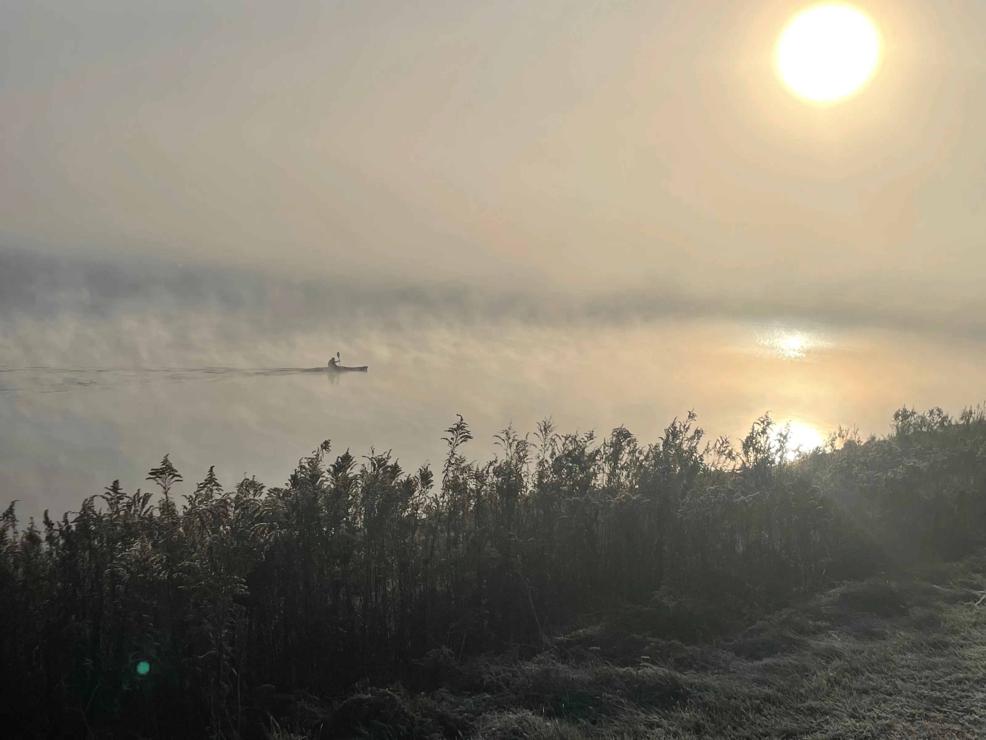 Breaking Dawn's Autumn Mist