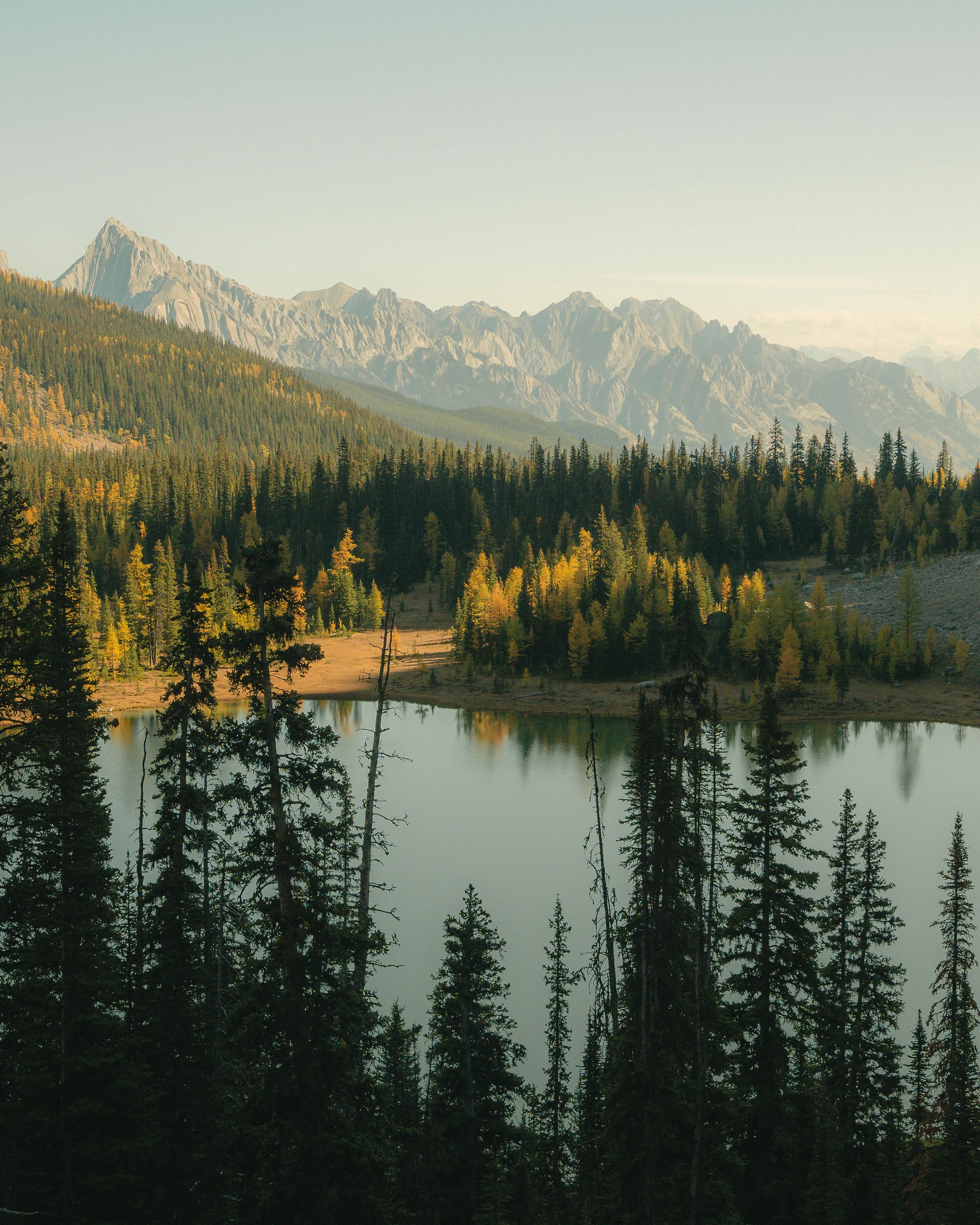 Rockies