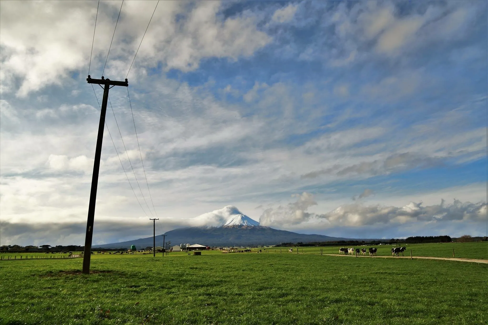 Dairy country