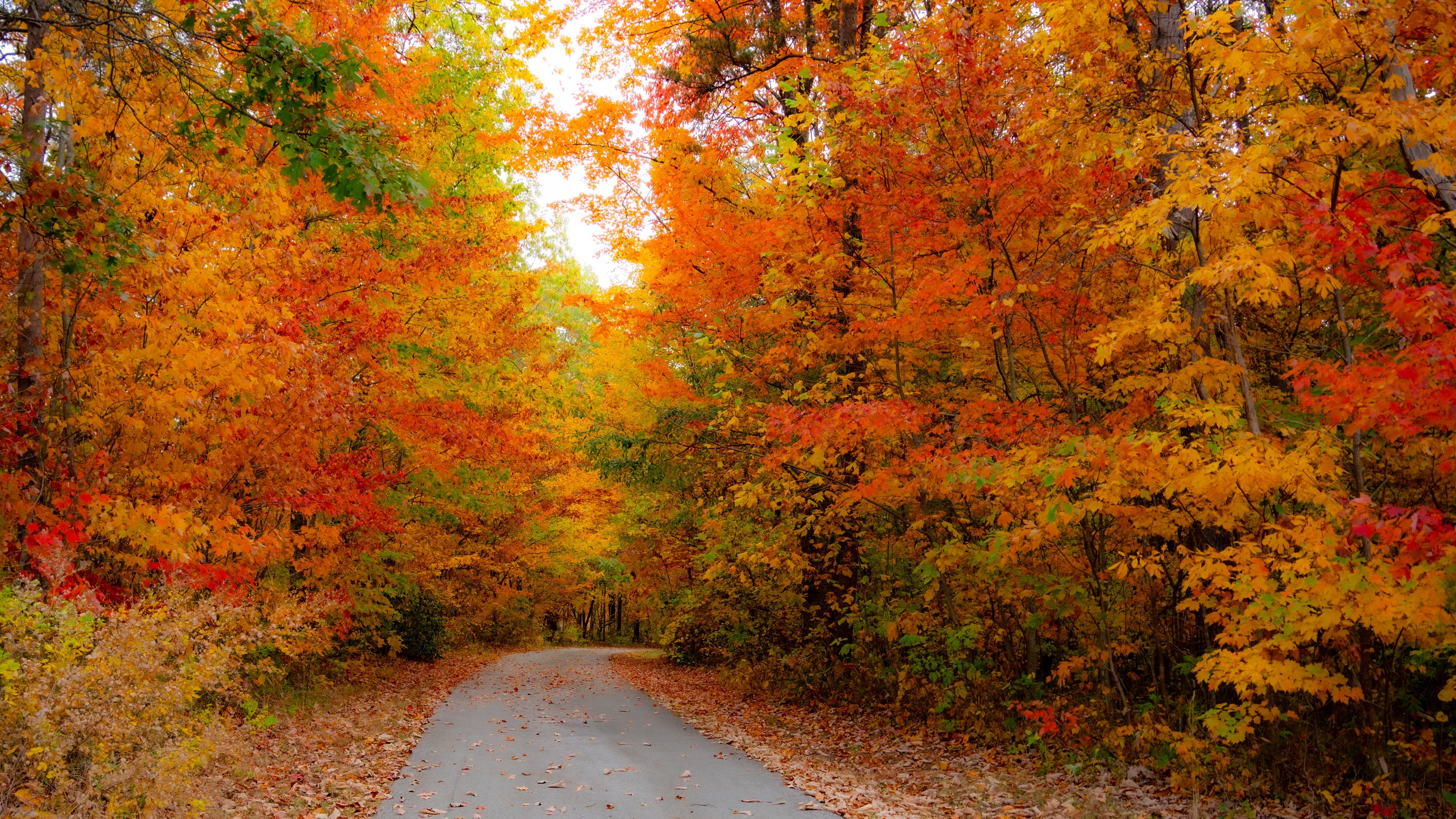 Burst of Fall