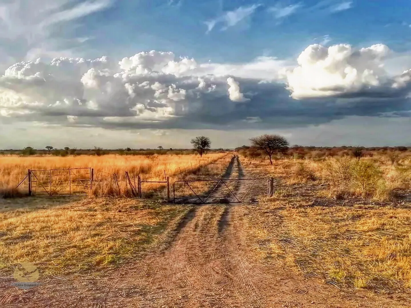 Rambling clouds