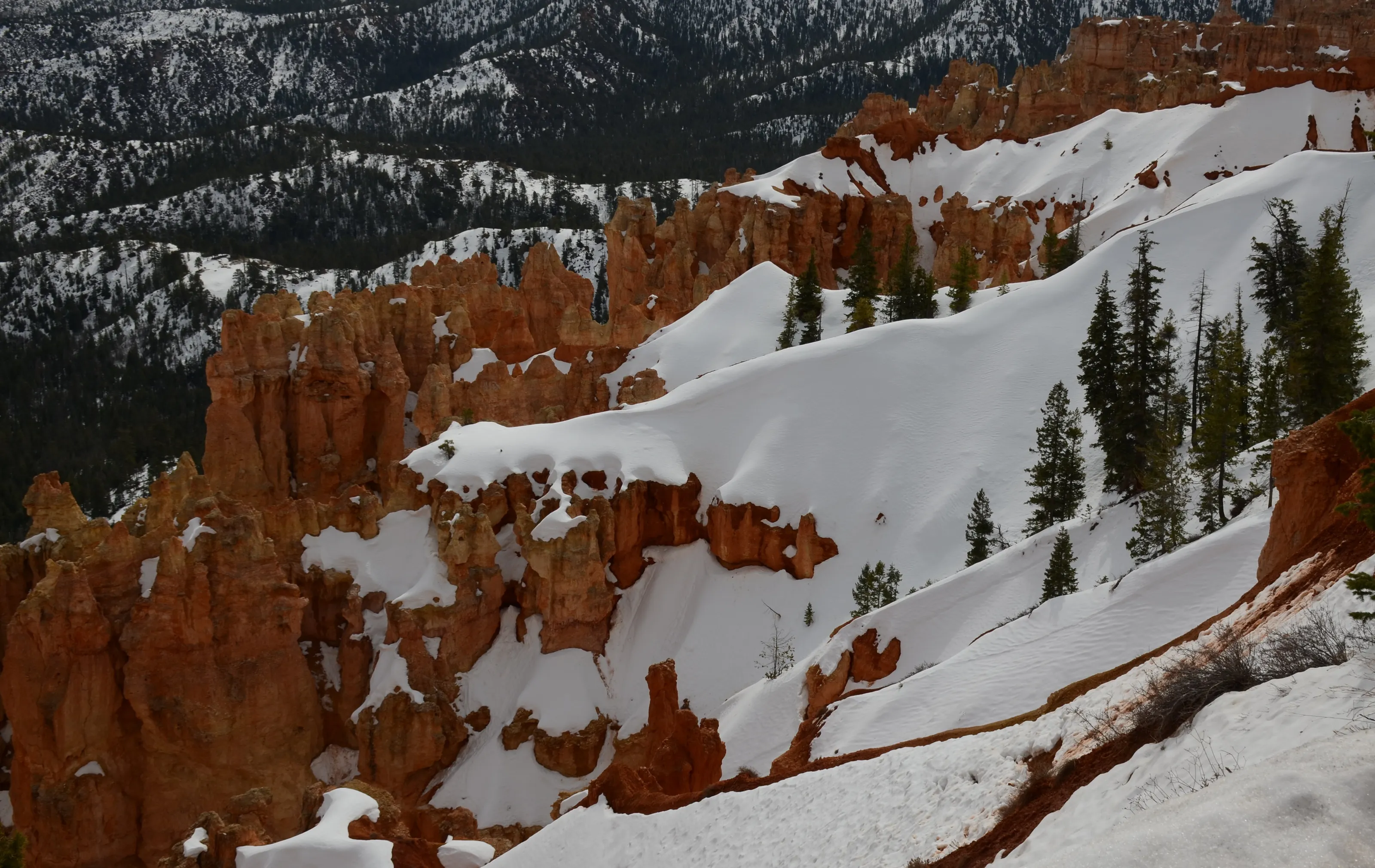 Canyon Winter