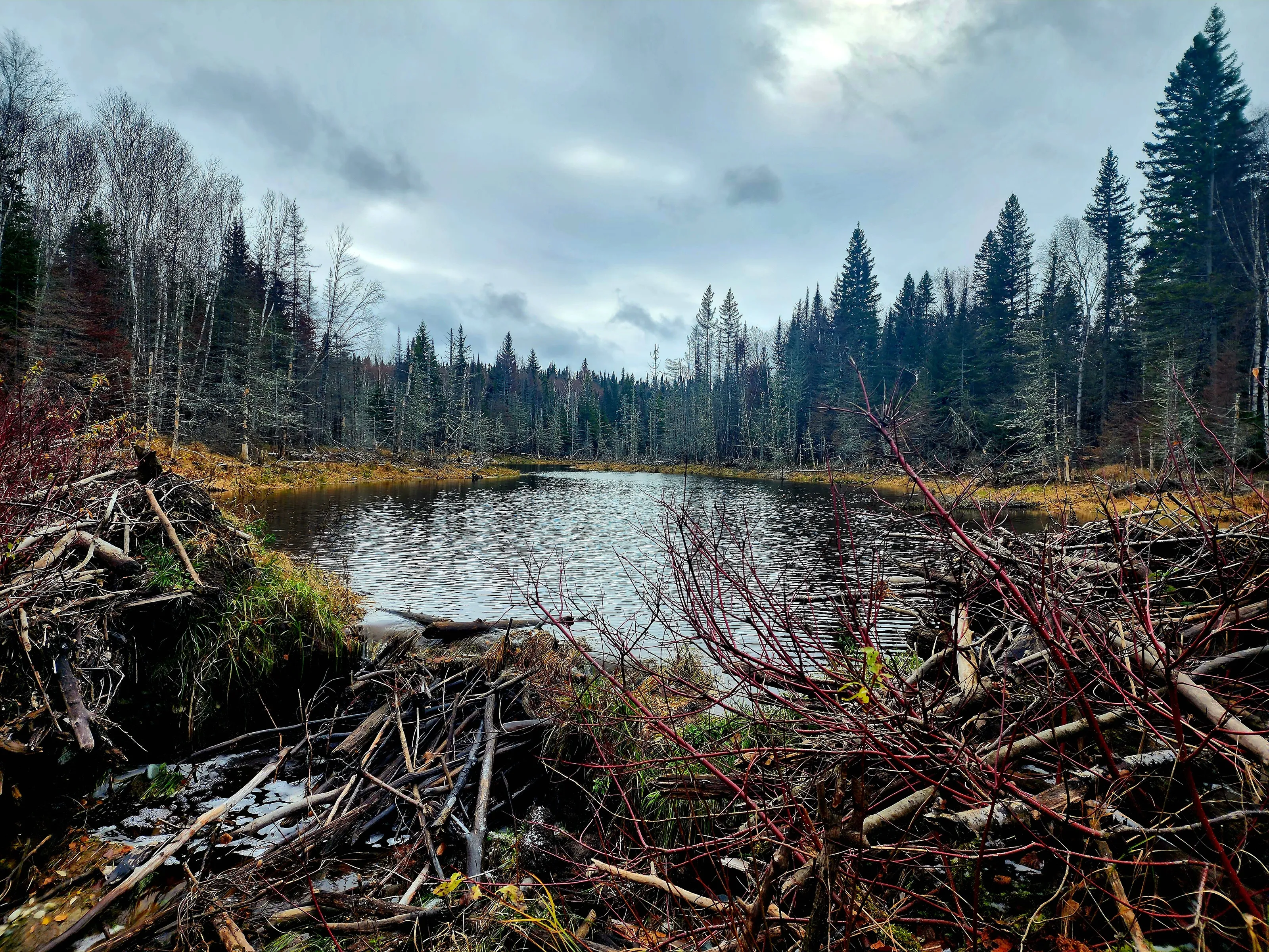 Northern Ontario Wilderness