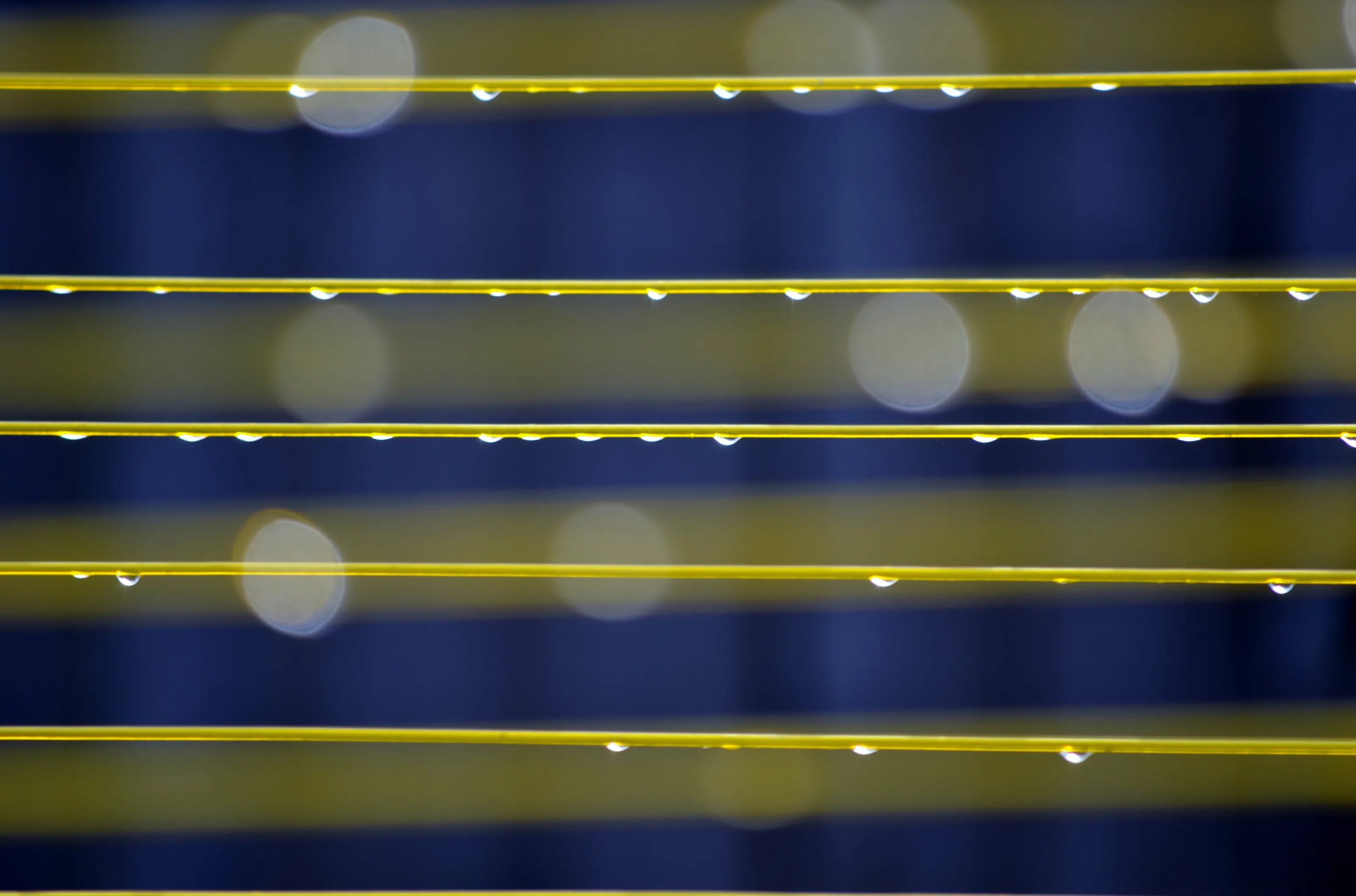 Washing Line