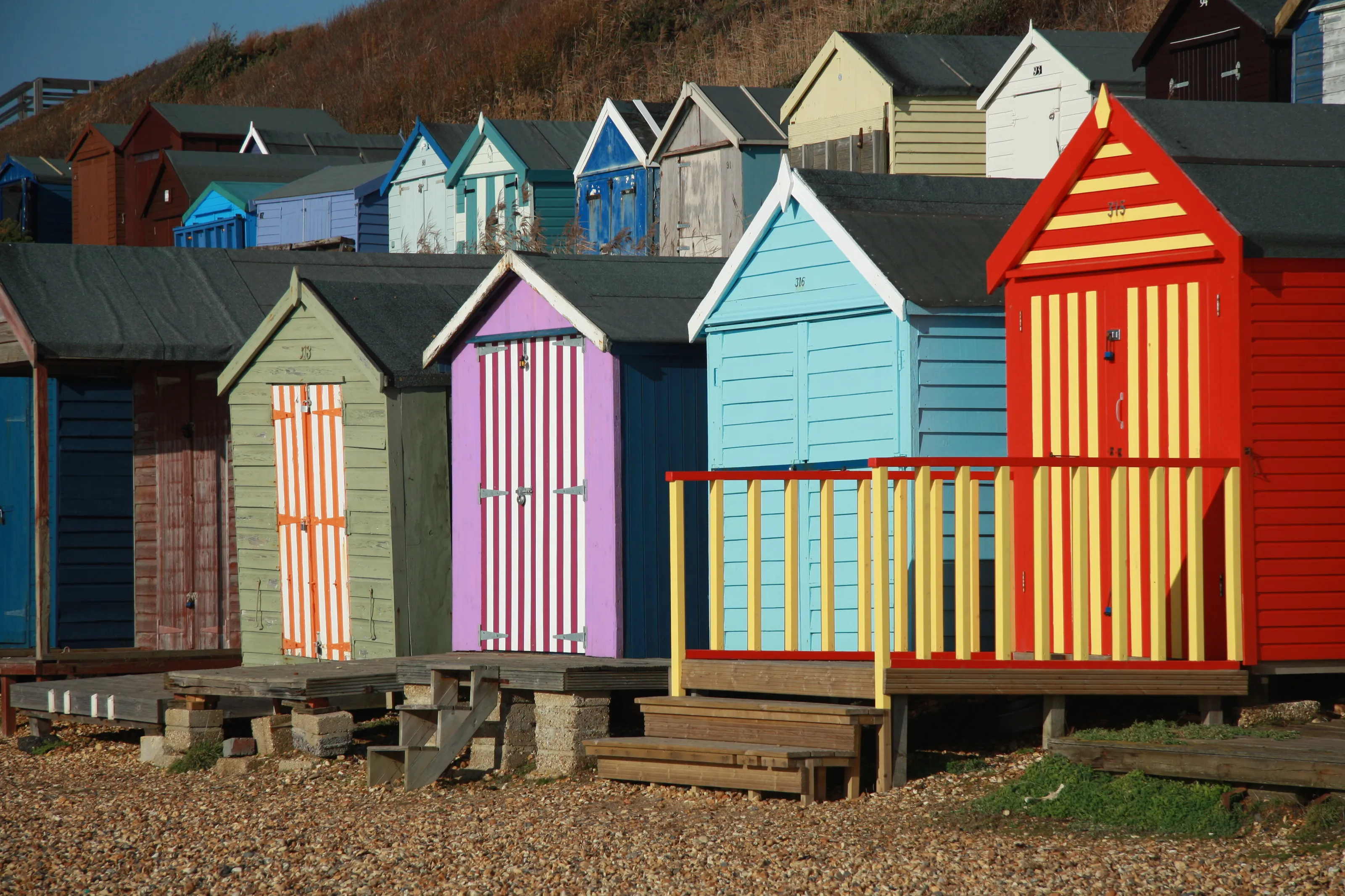 Banner image