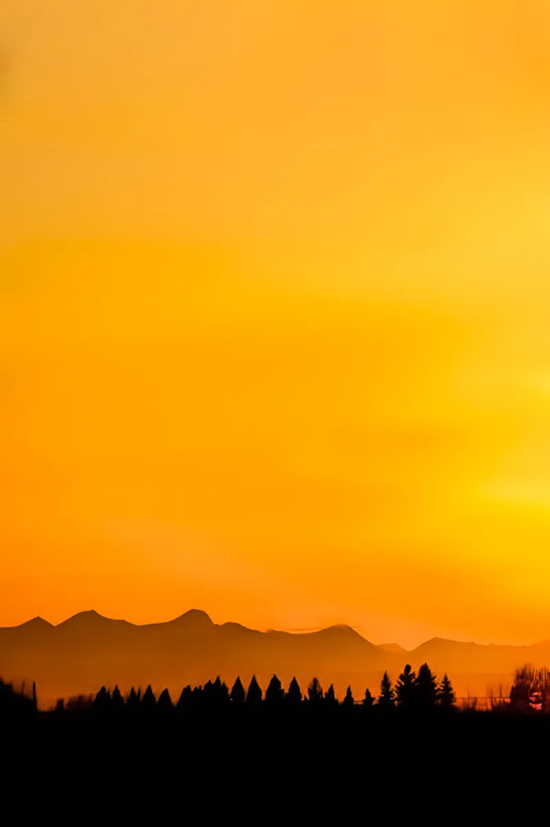 Alberta Sunset