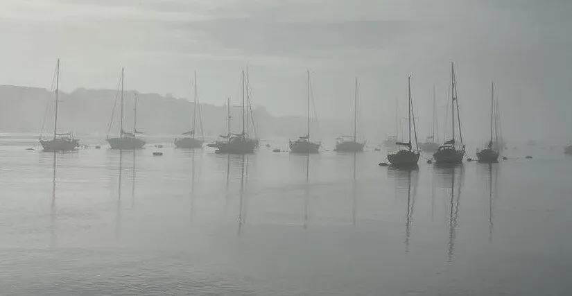 Tamar river mist