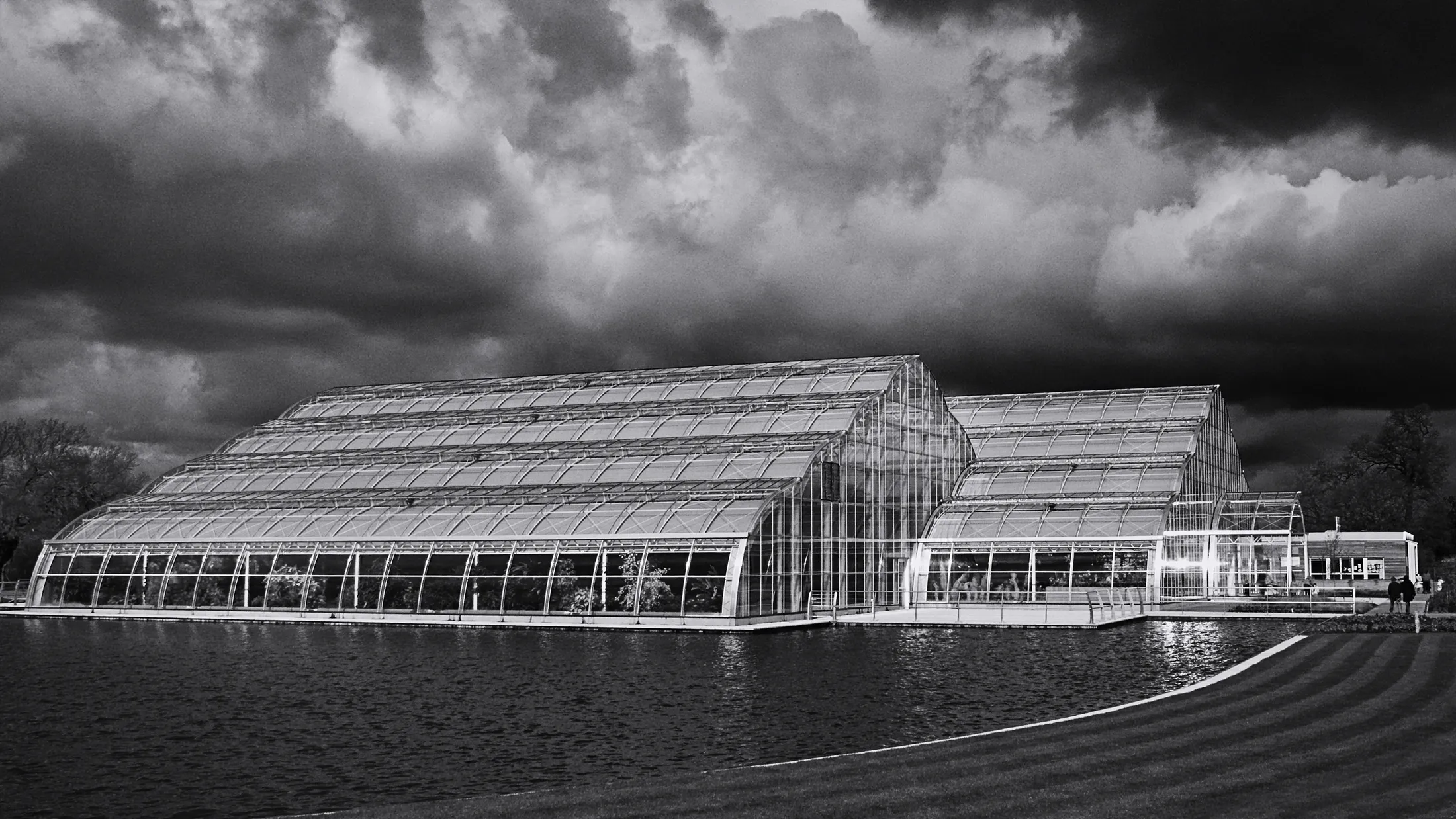 Entry 18447492