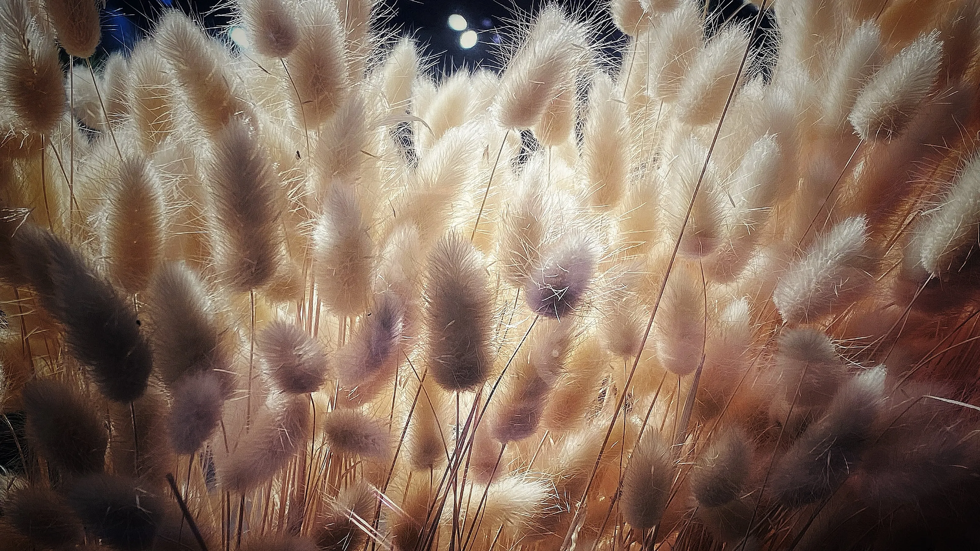 Fluff