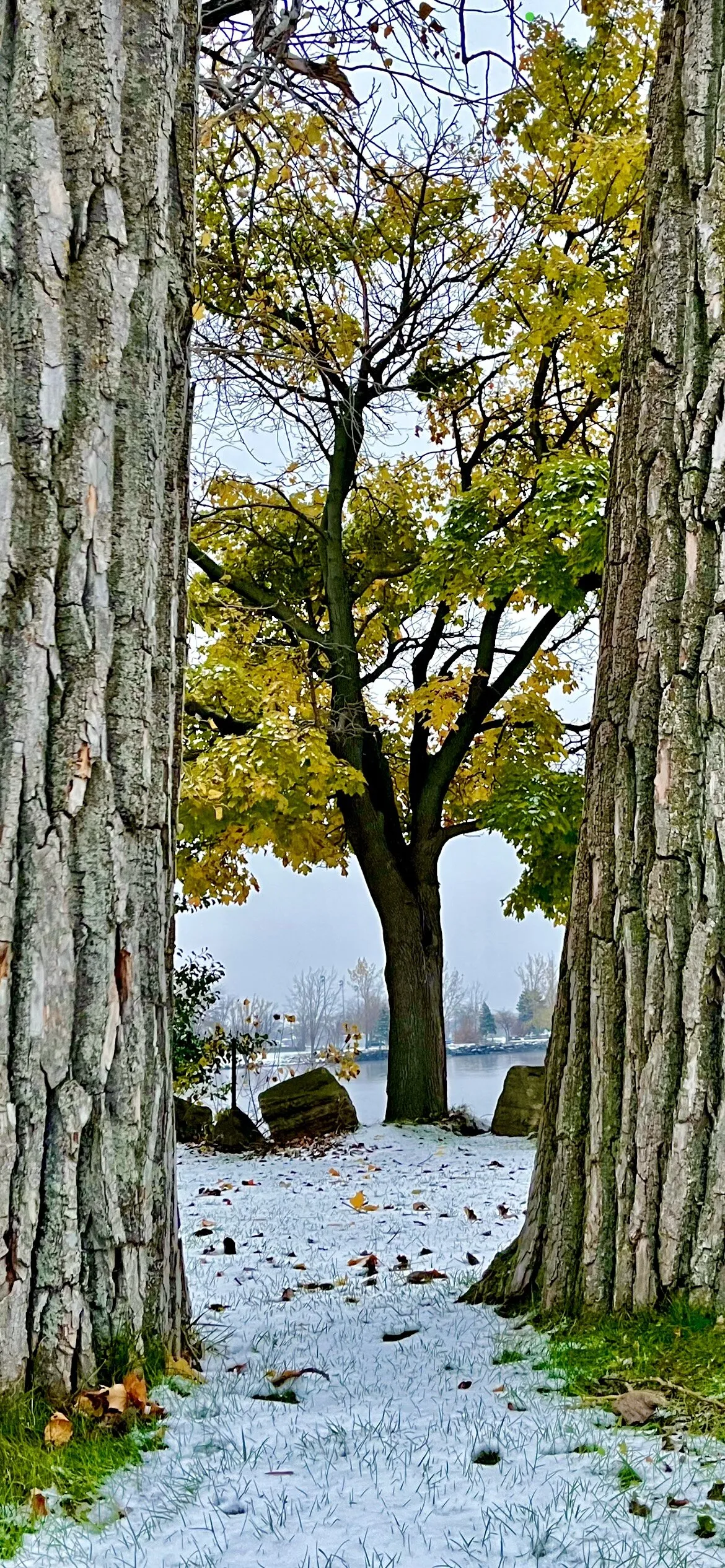 Changing seasons