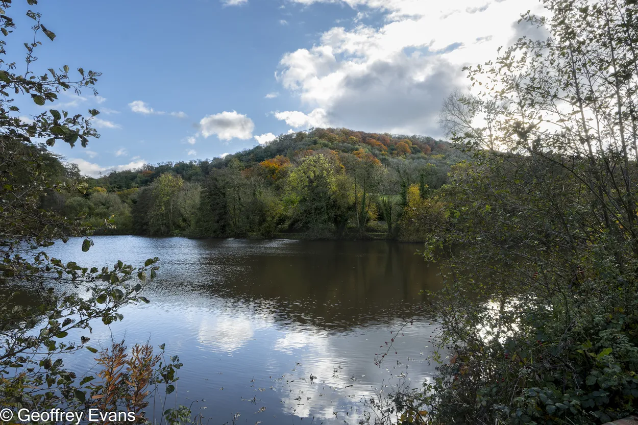 Entry 20006228