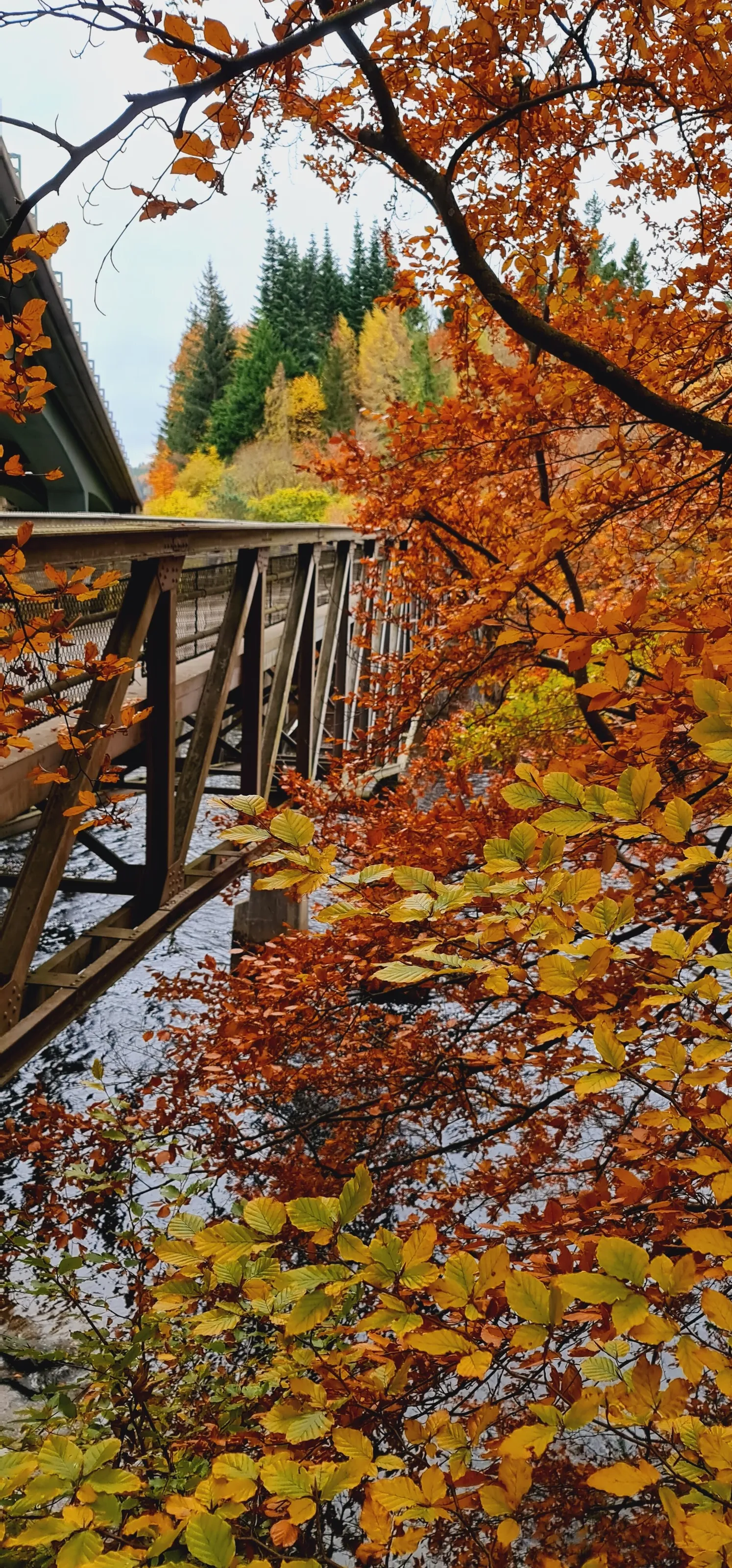 Autumn walks