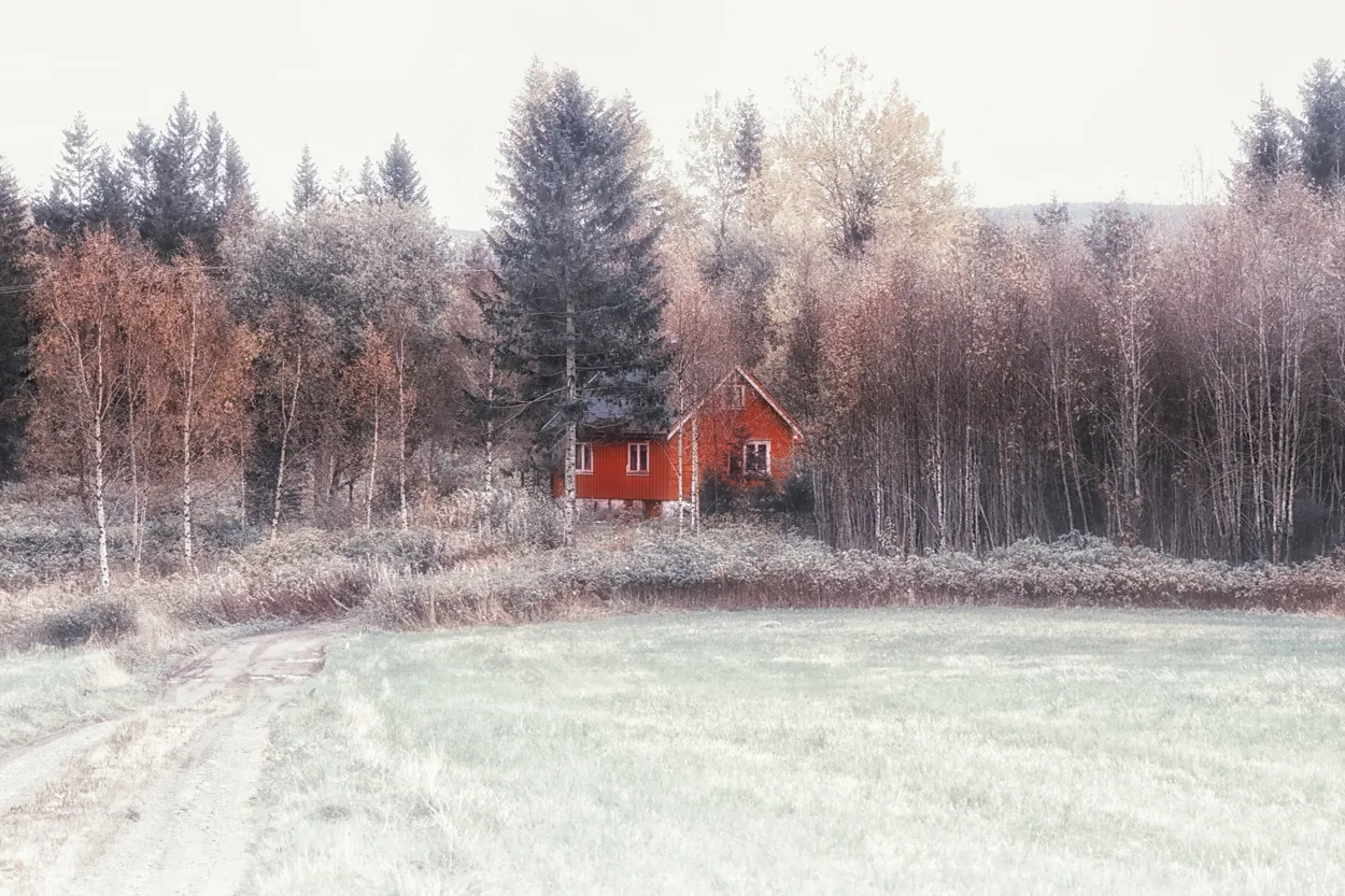 Entry 18614570