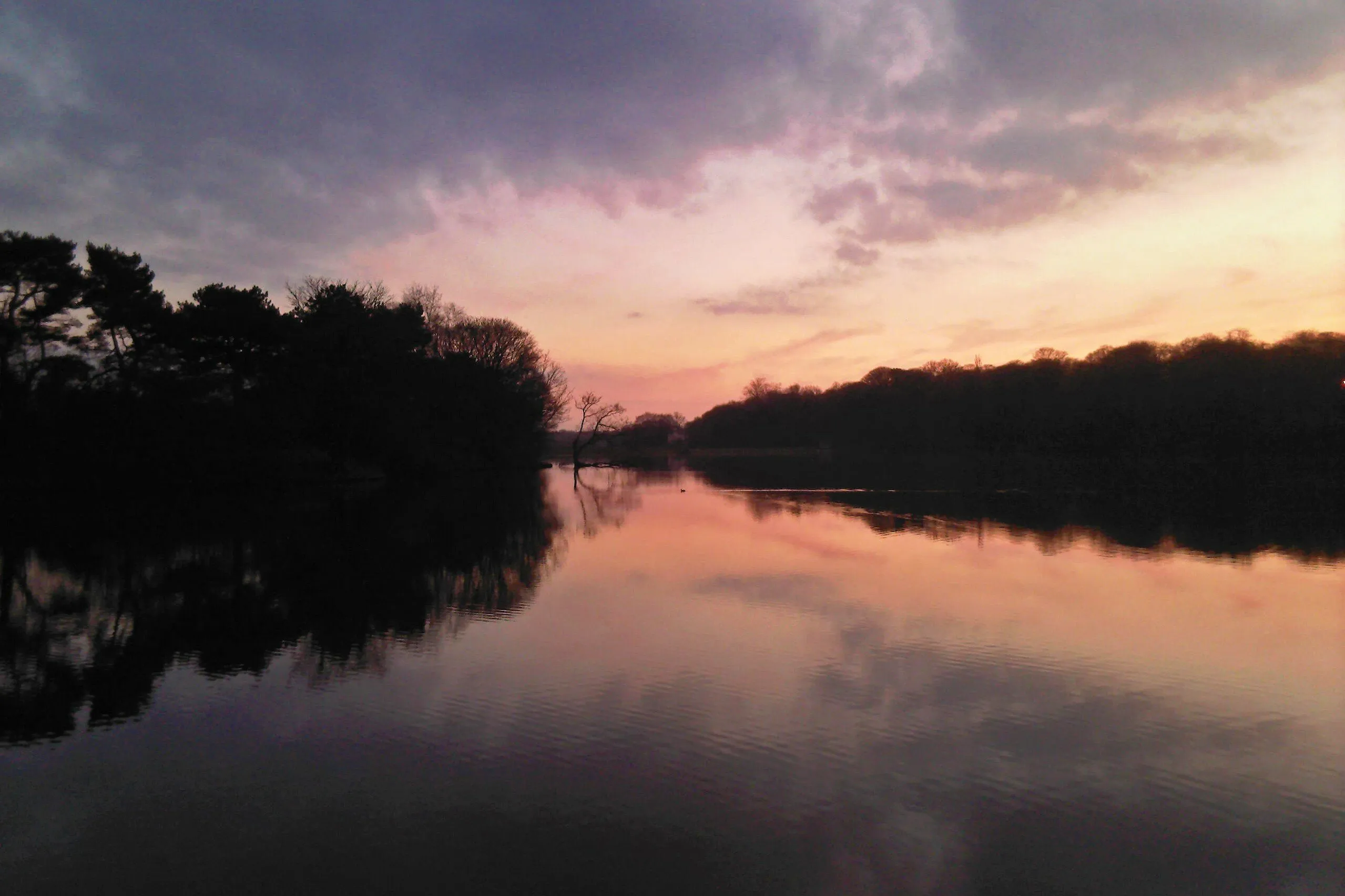 Winter sunset