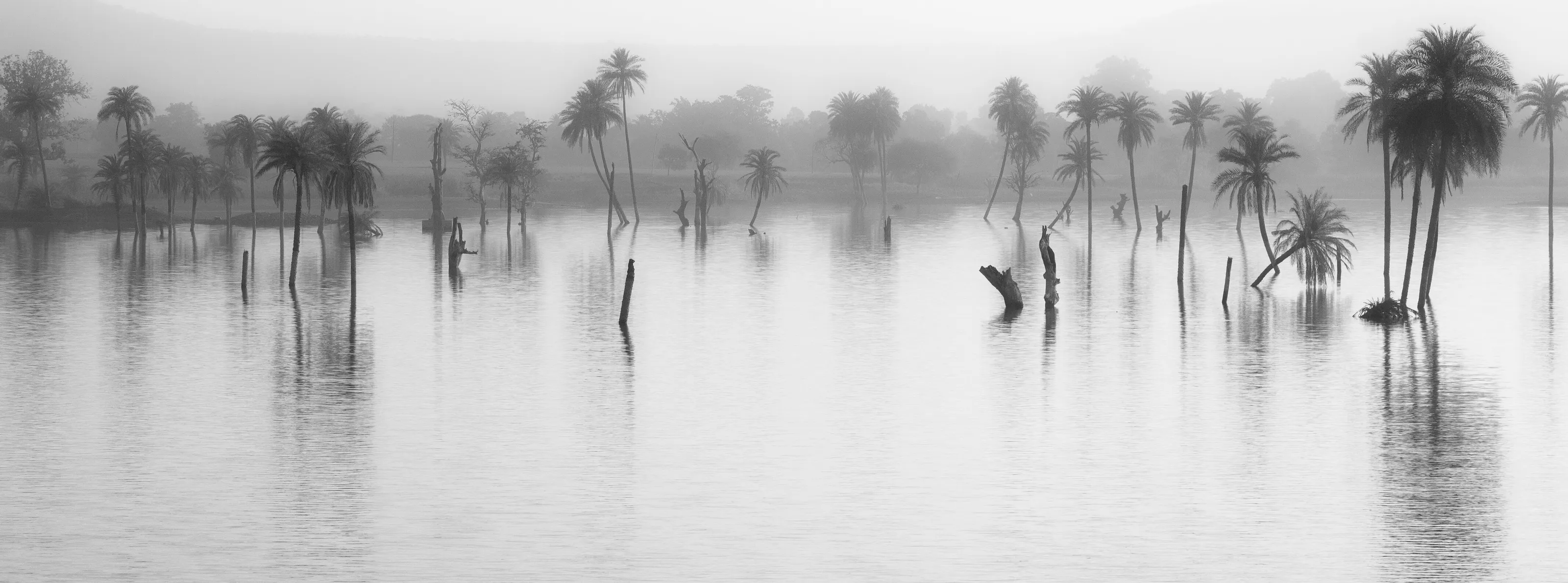 Silence