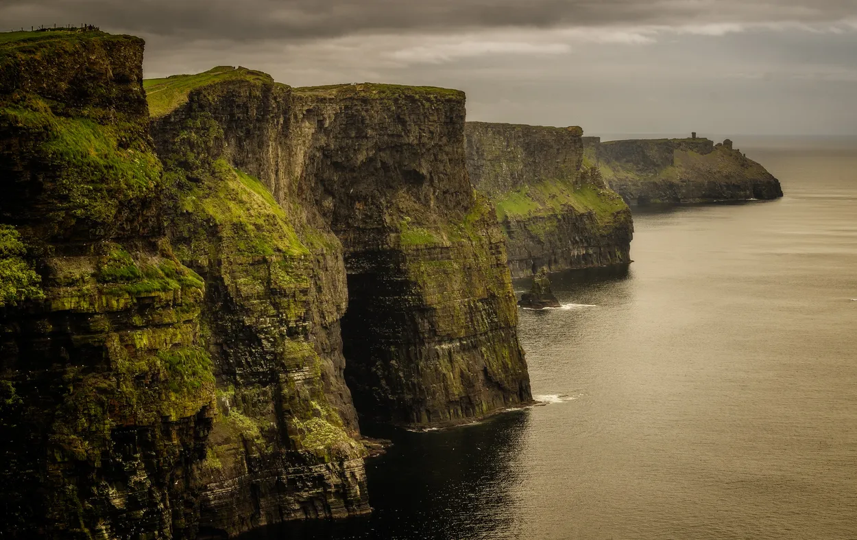 Entry 19692560