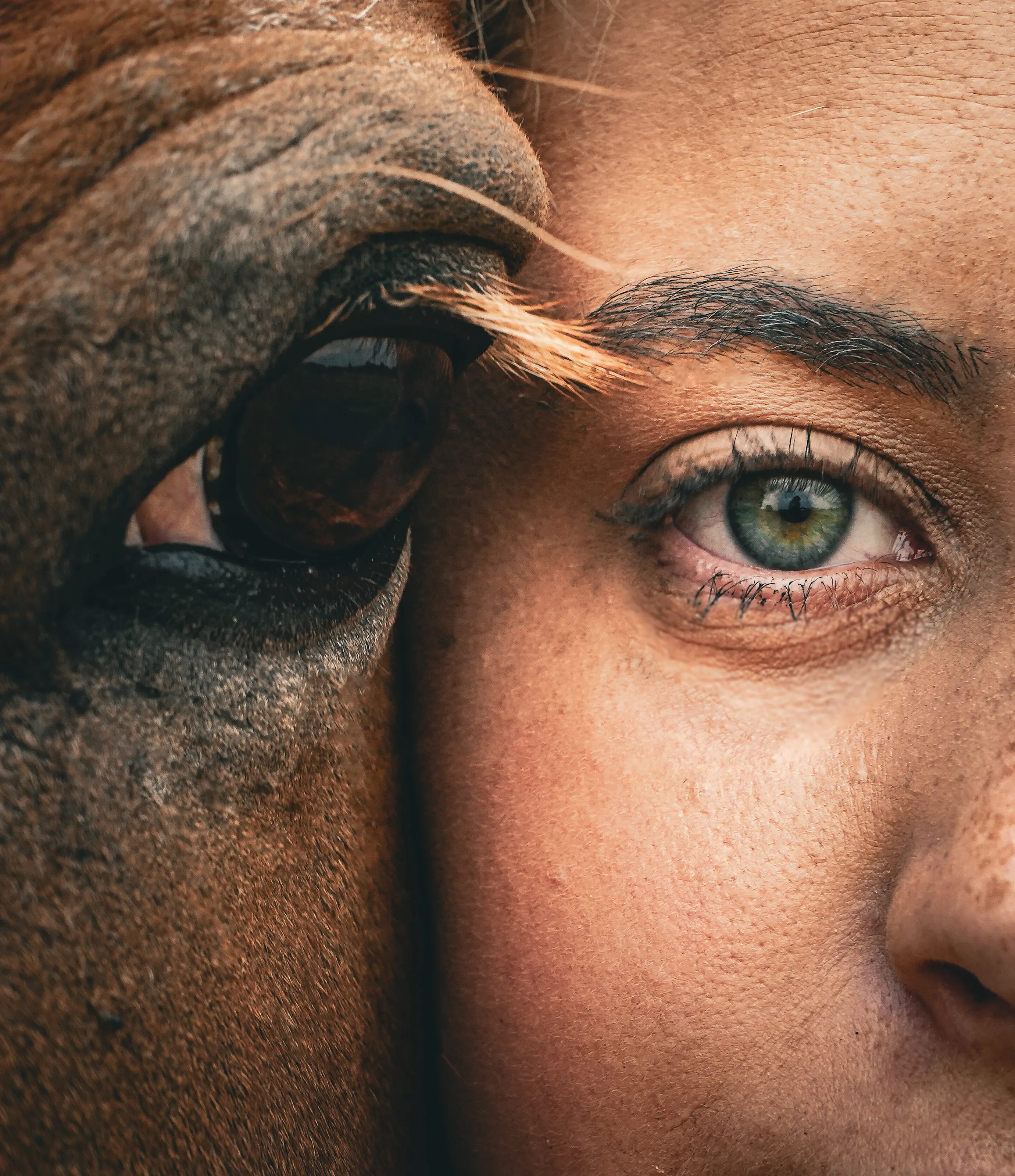 Two Creatures One Soul