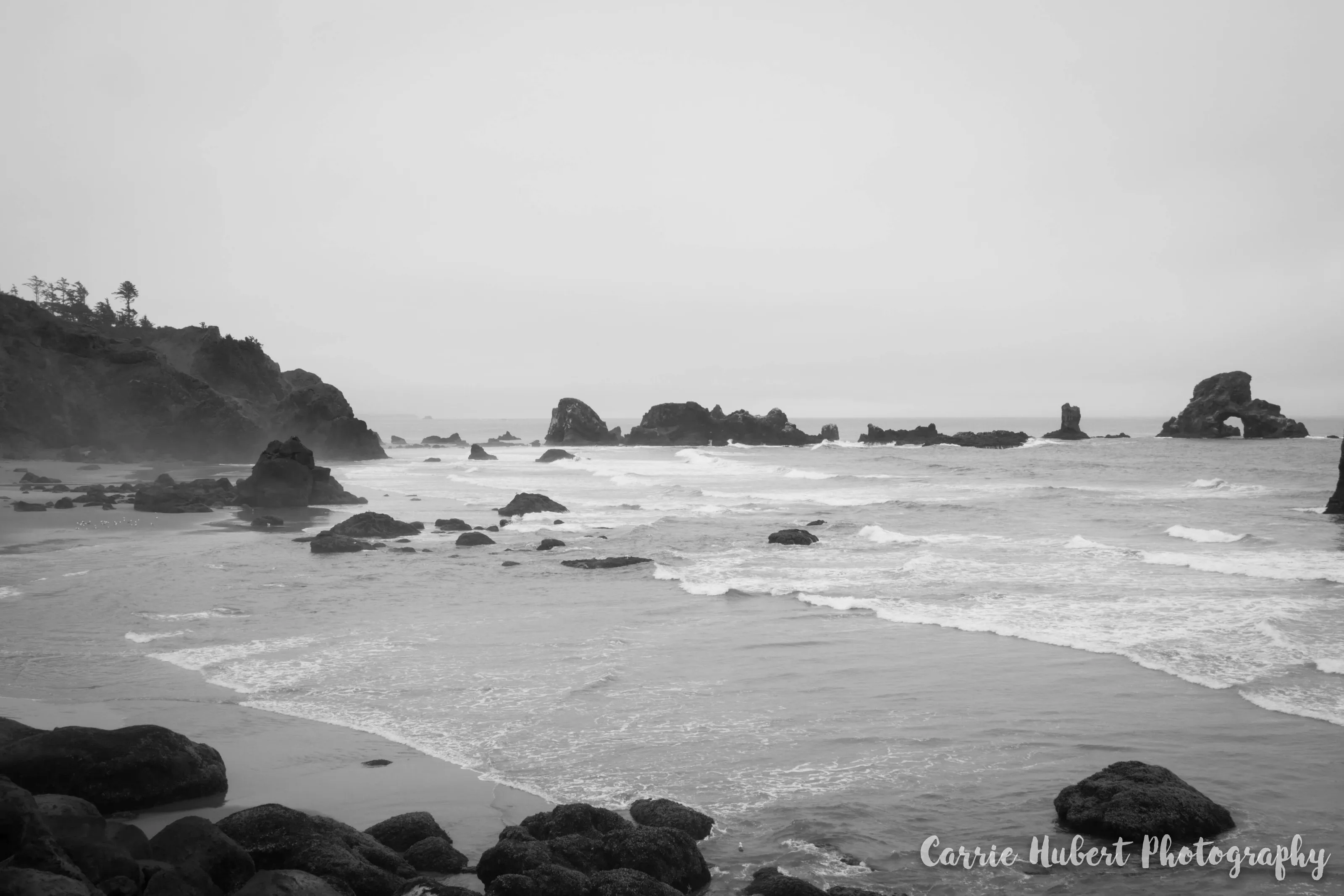 The ocean is calling and I must go!